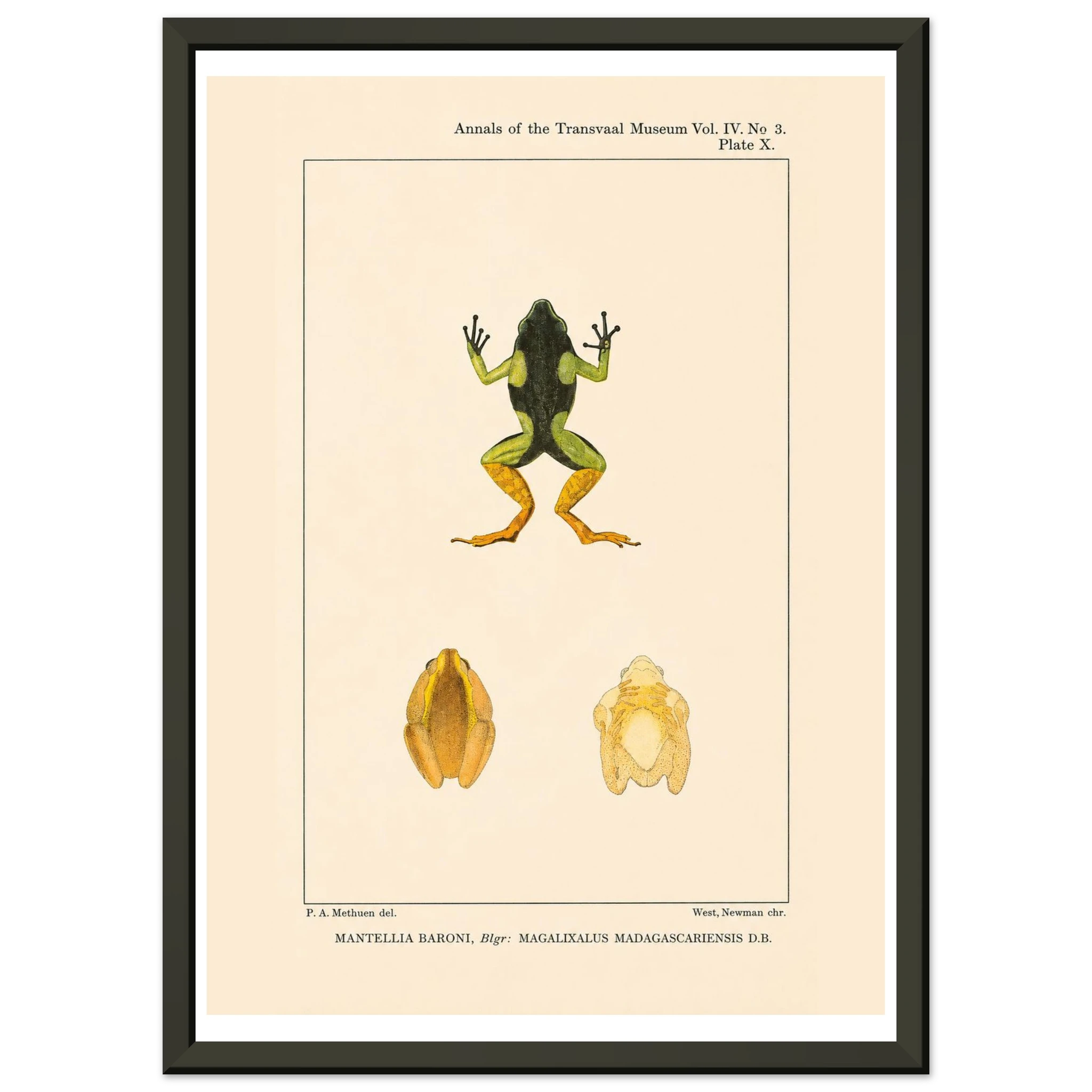 65f6d057-3727-4742-b9ba-6088caf0c59e