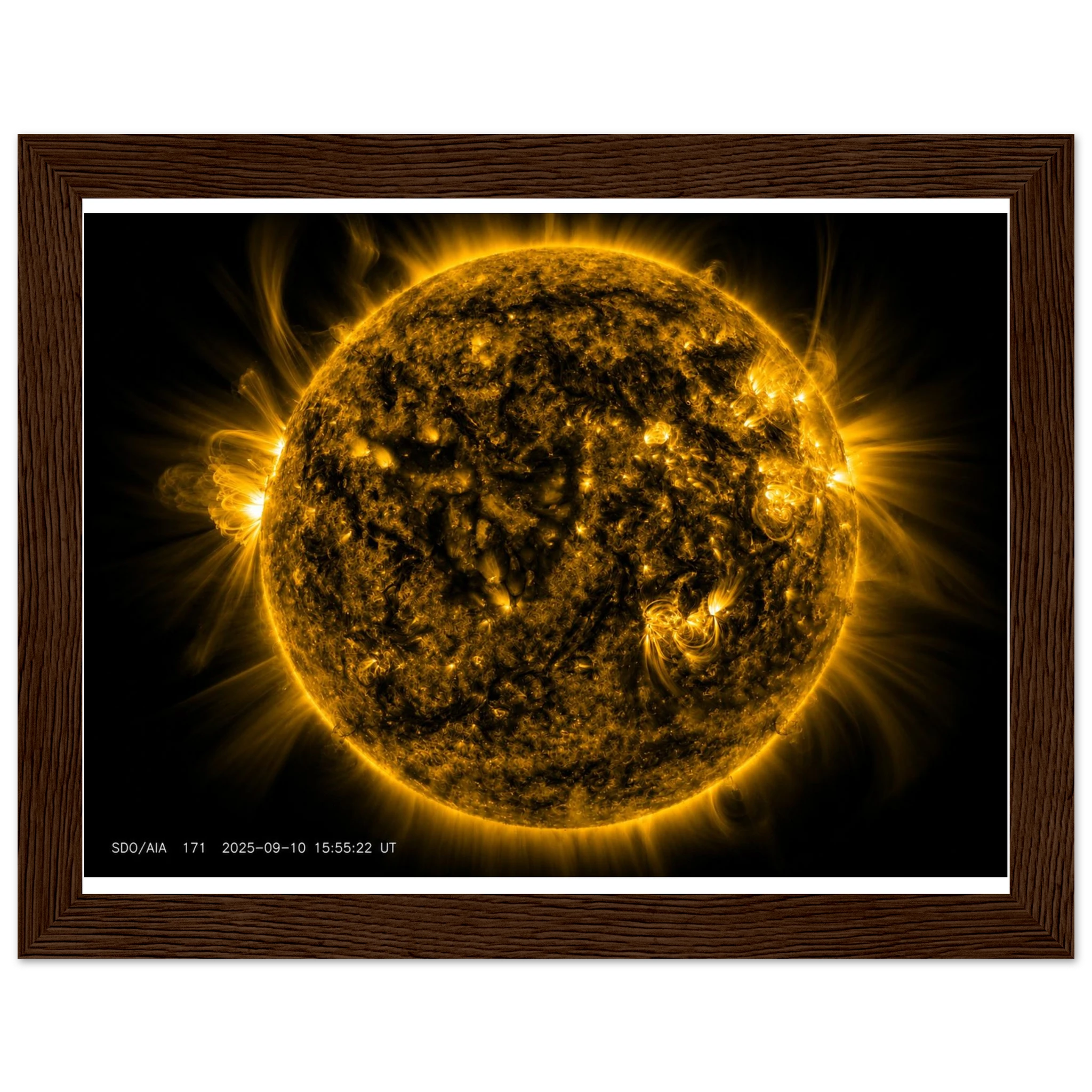 66948a0c-18cd-4aab-8a43-0d1cfa7a67ba
