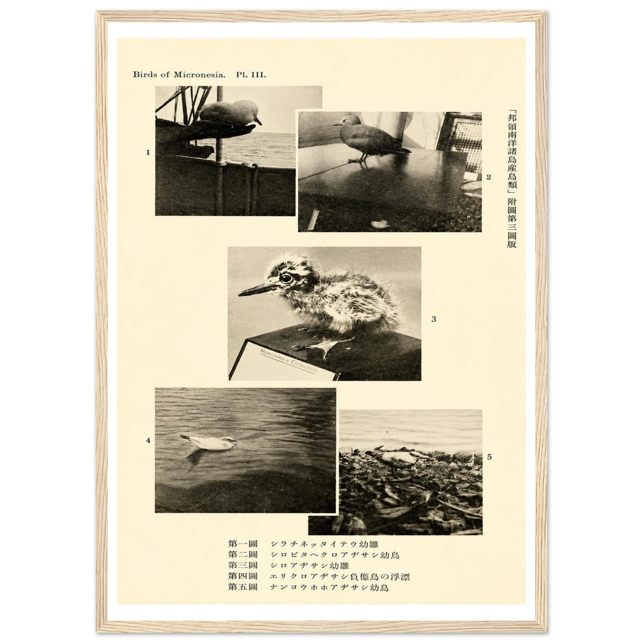 66b78f9e-be52-40e6-9763-aea5ea07dabc