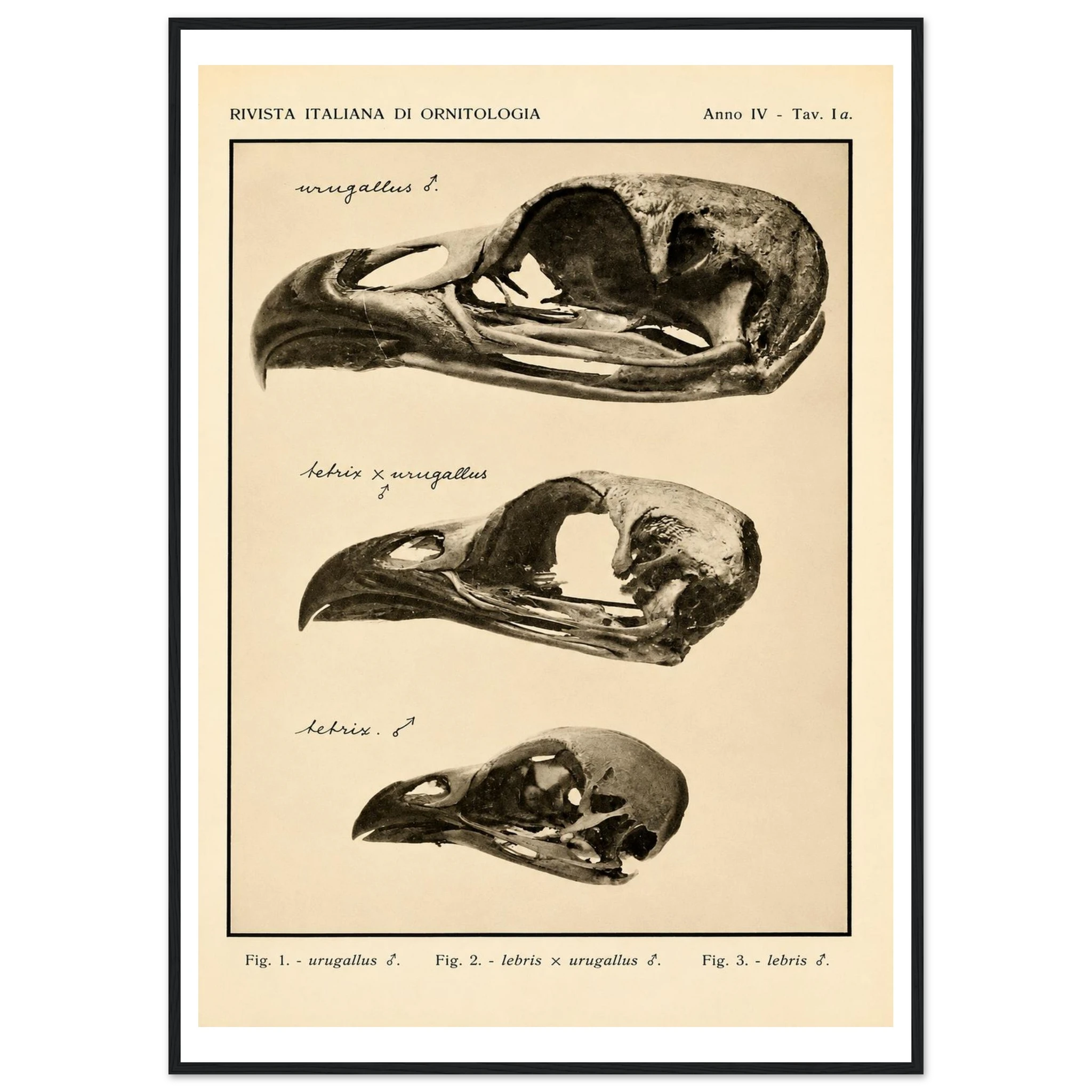 66f9352d-a373-4c5b-9c77-25e009ac0207