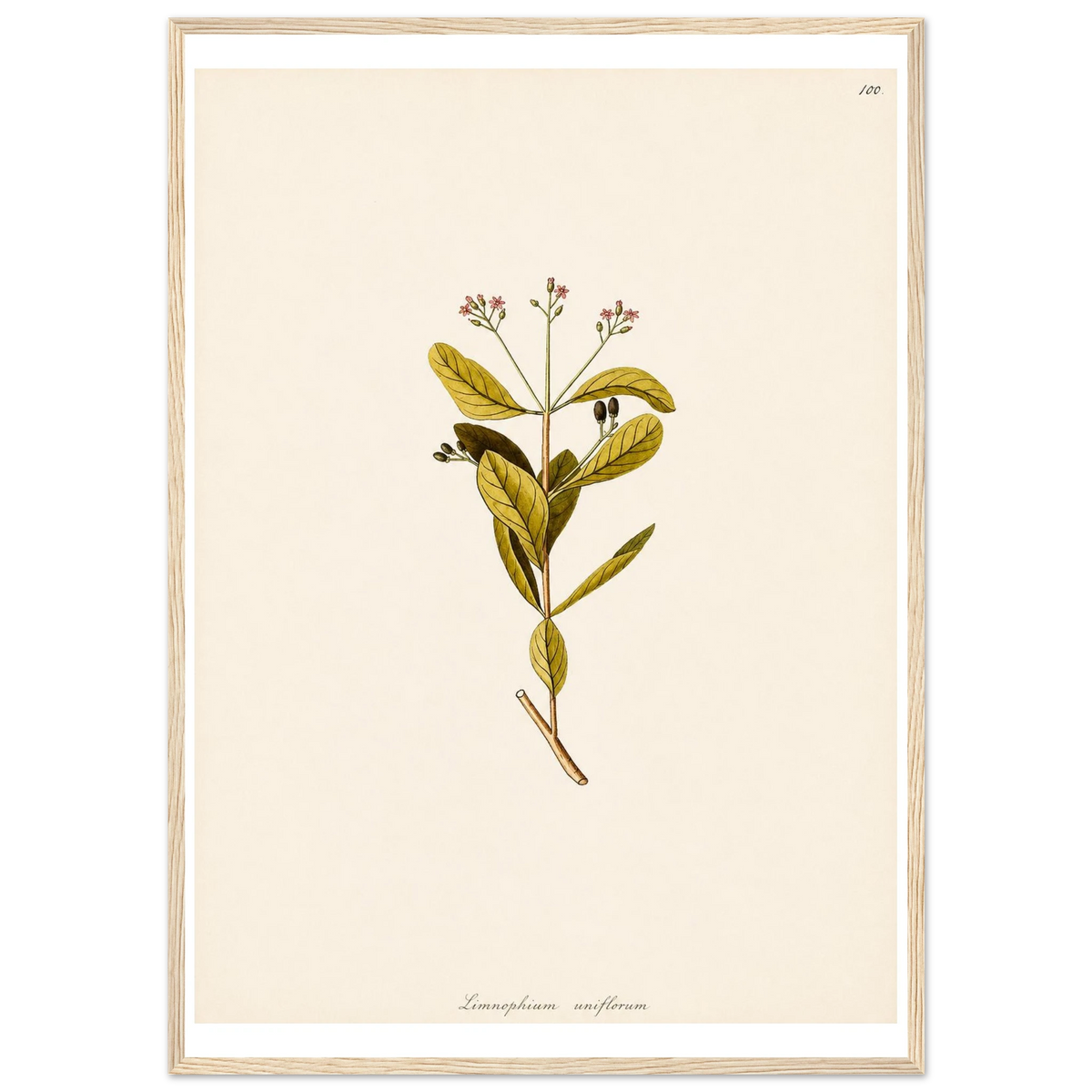 672a0e52-9d2a-40dc-bff8-3787c60b0c64