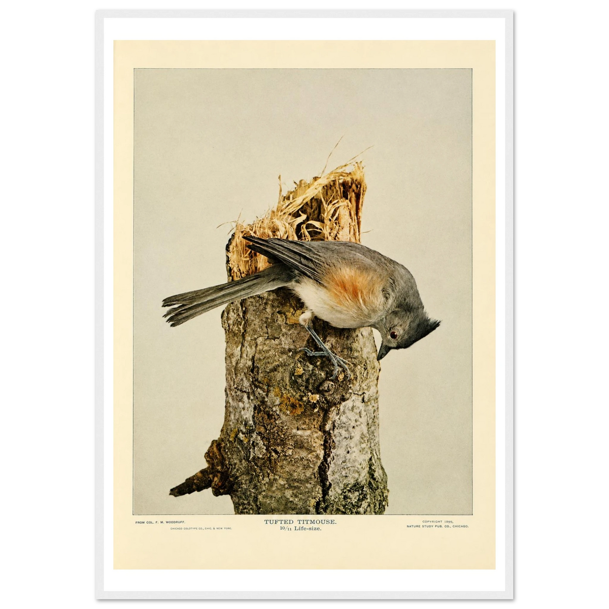 6784cbd4-5db5-4c9c-86ca-13cf34992edd