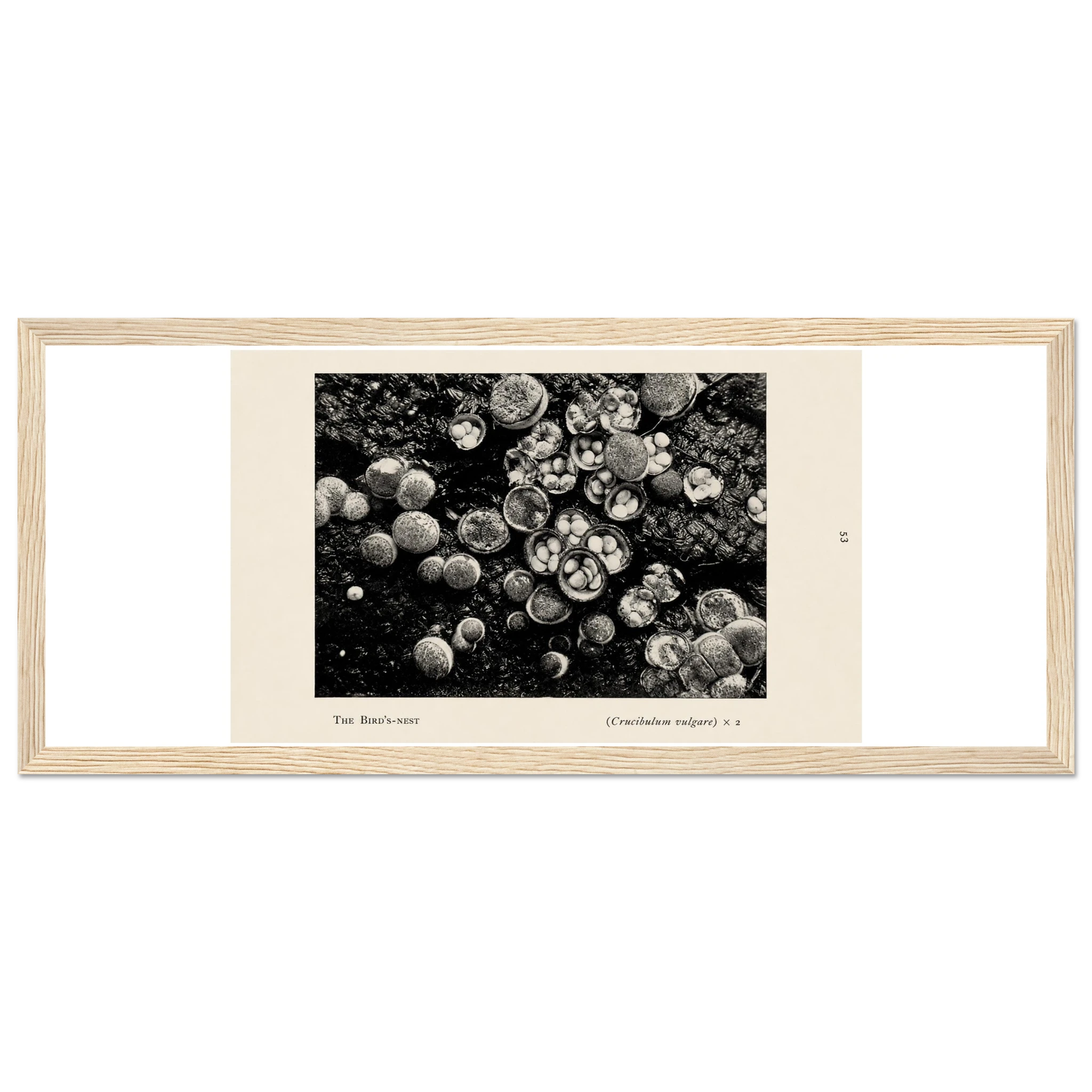 67e727ca-9ed4-4ad0-97e3-42836e86fc05