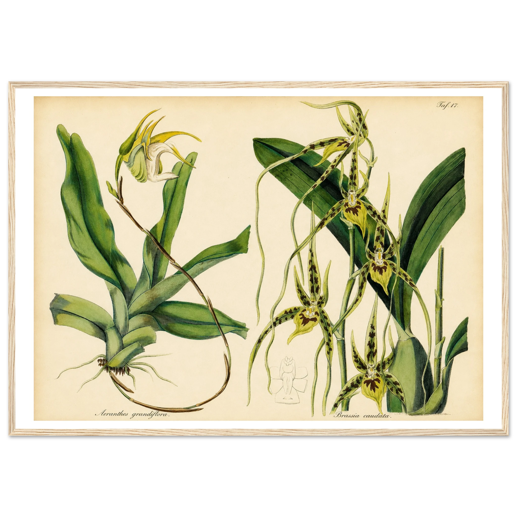 6847c6cb-c02a-4613-a723-e6c3761b3aea