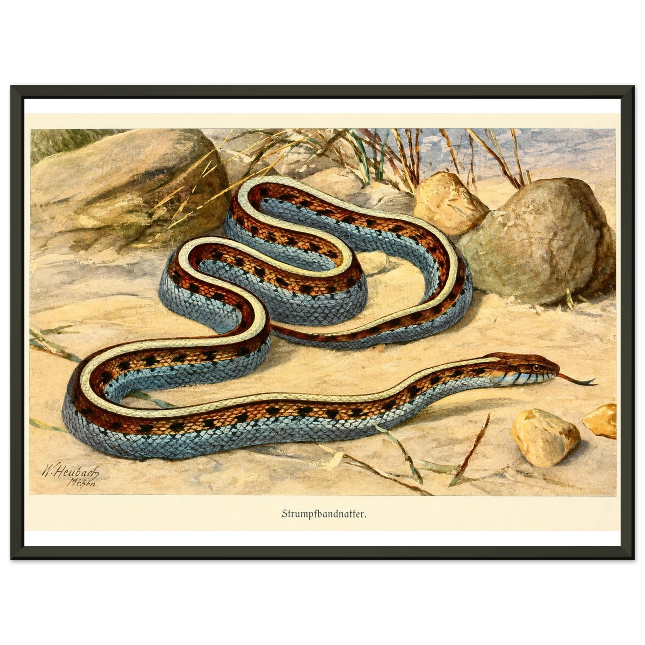 68bab415-8e1e-49b9-9638-685decee2e0f
