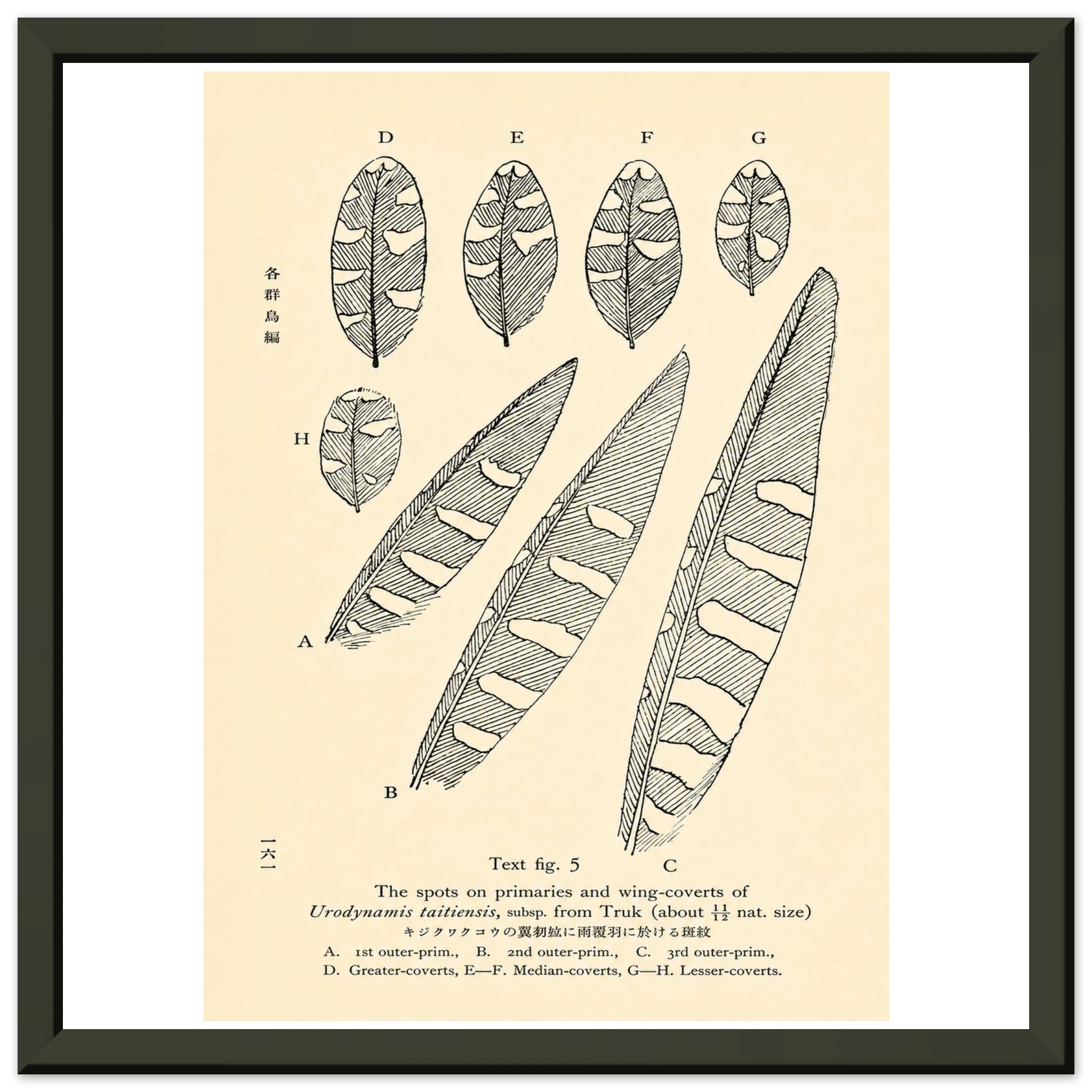 68e68f98-721a-4bbd-83cb-6f319eefb41a