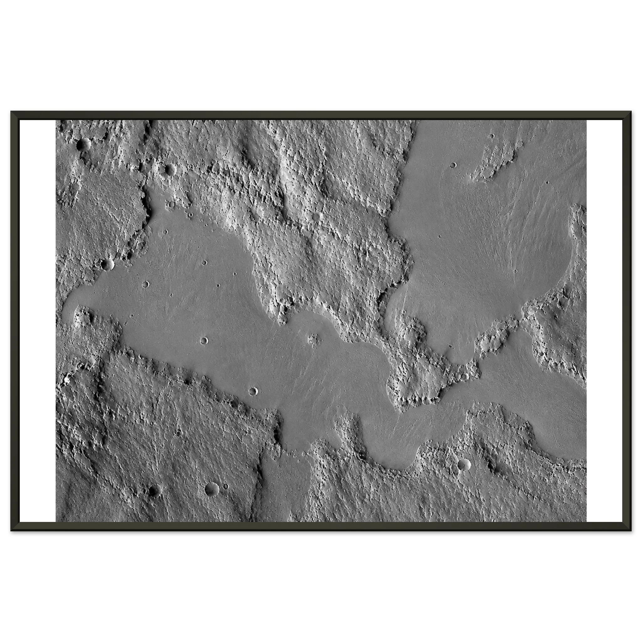 6976ea5c-e8c3-4a5a-a278-1018f7f1468f