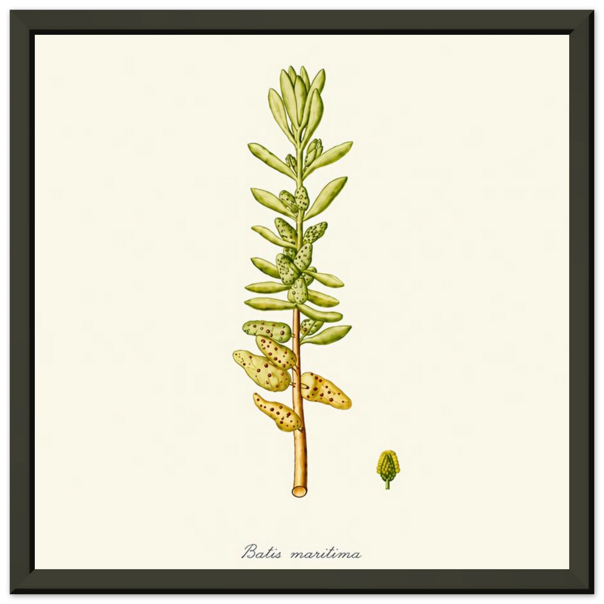 69ba9d41-92d0-49c8-a041-cc65fbb18657
