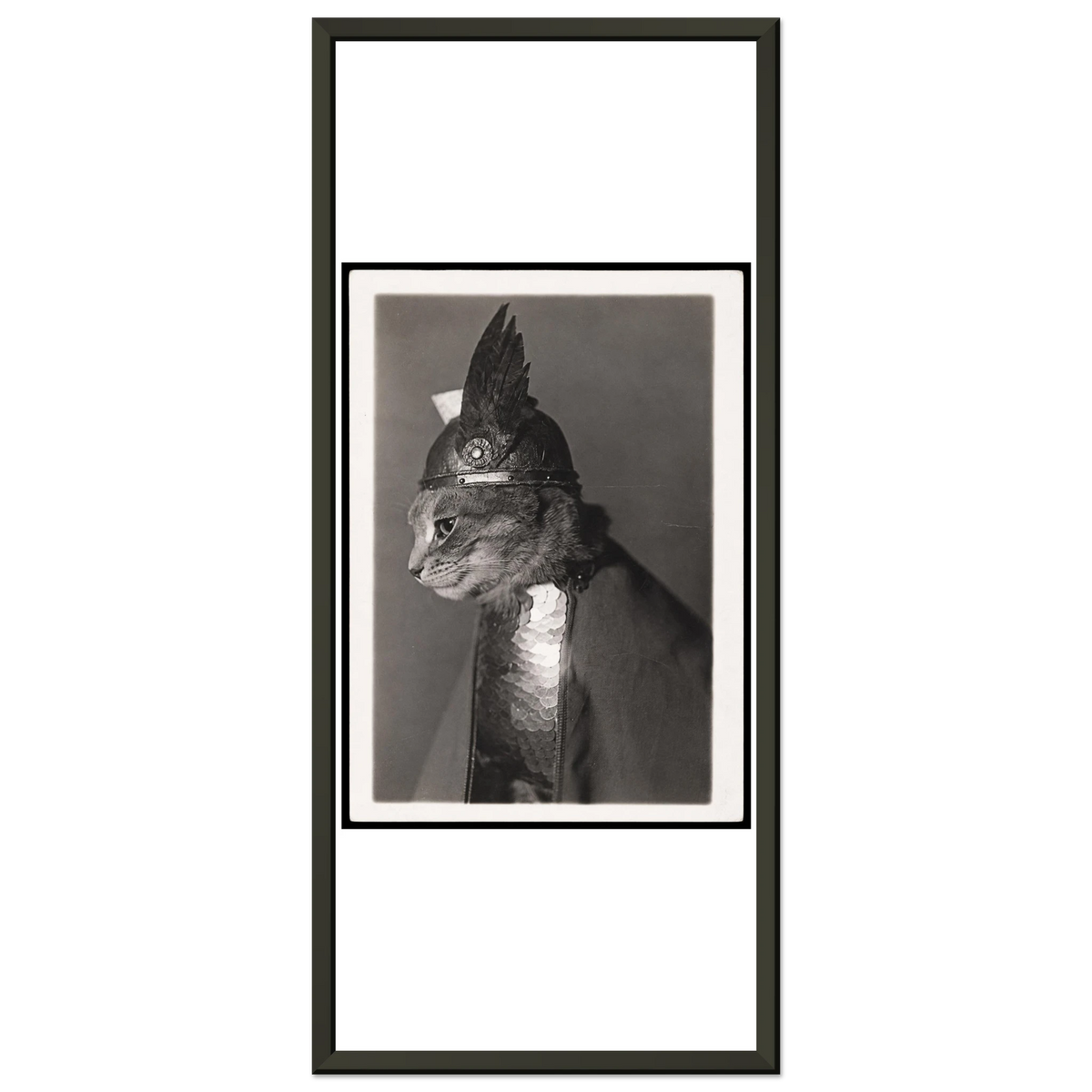 6a16a891-bc01-47be-ac4e-d04bf372f151
