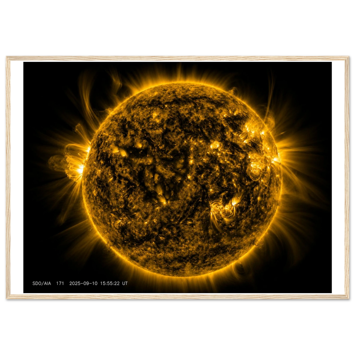 6b168b78-8fc7-458e-8e94-ffdce91f274e