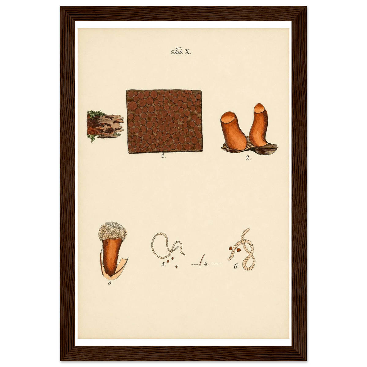6bdde80c-0775-43eb-9ac0-b480f9f19528