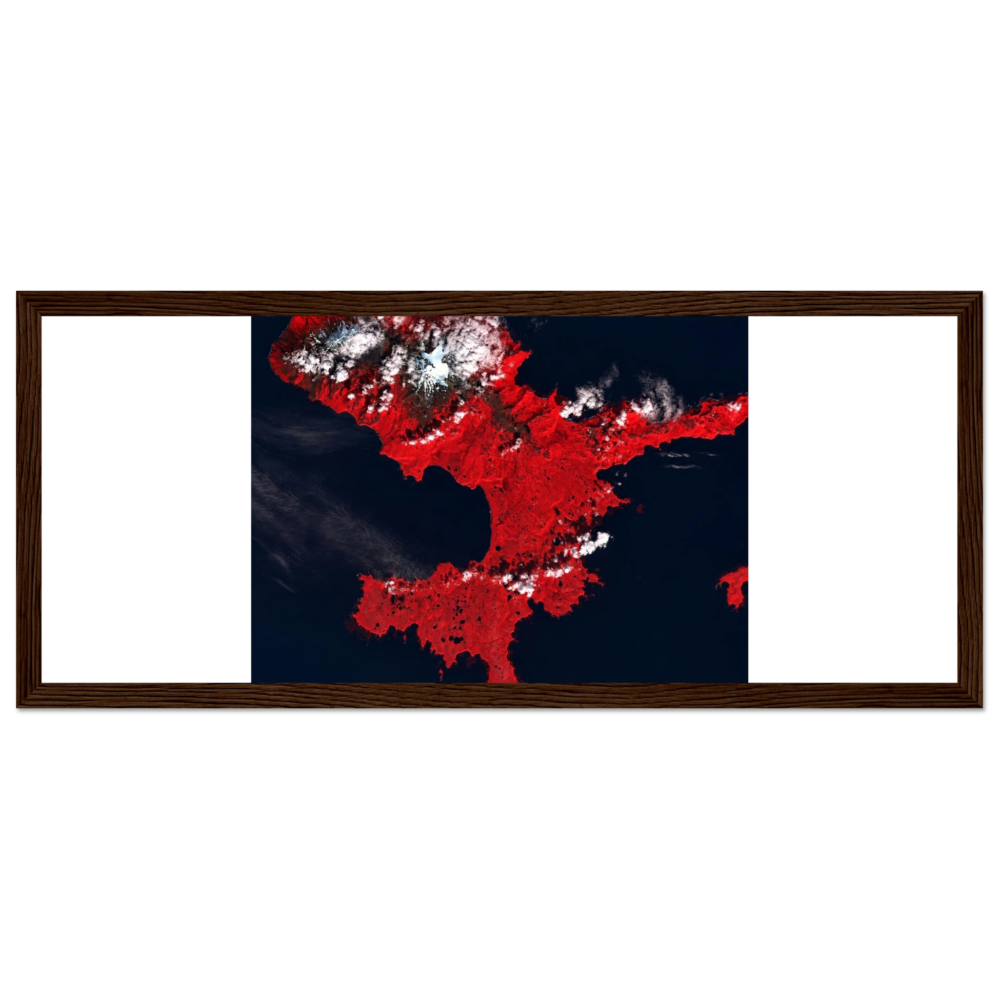6bf8fcc2-f73f-4725-bda9-caa60f964f04