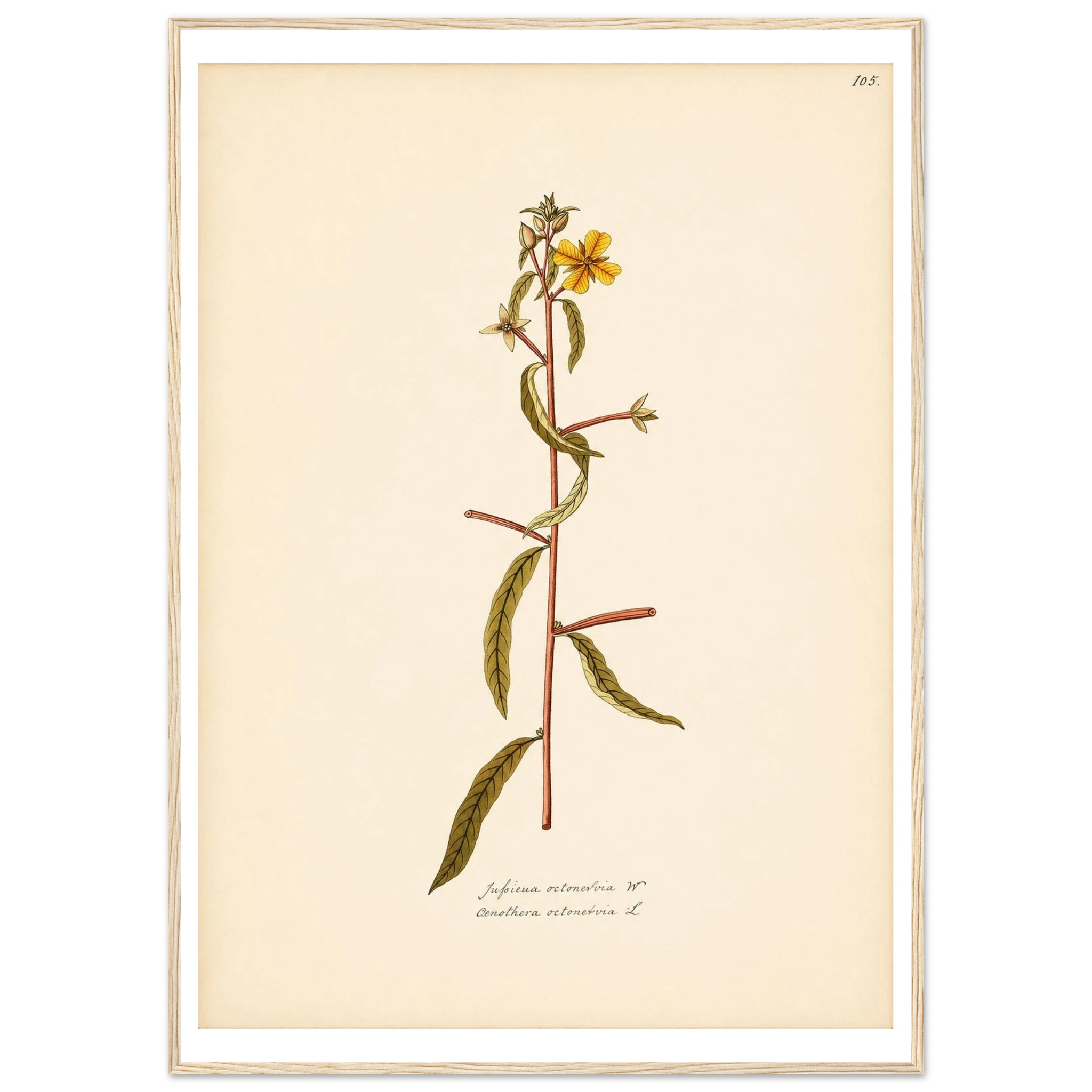 6cf0f15b-dac9-485c-b6eb-7dafe2fbc6c0