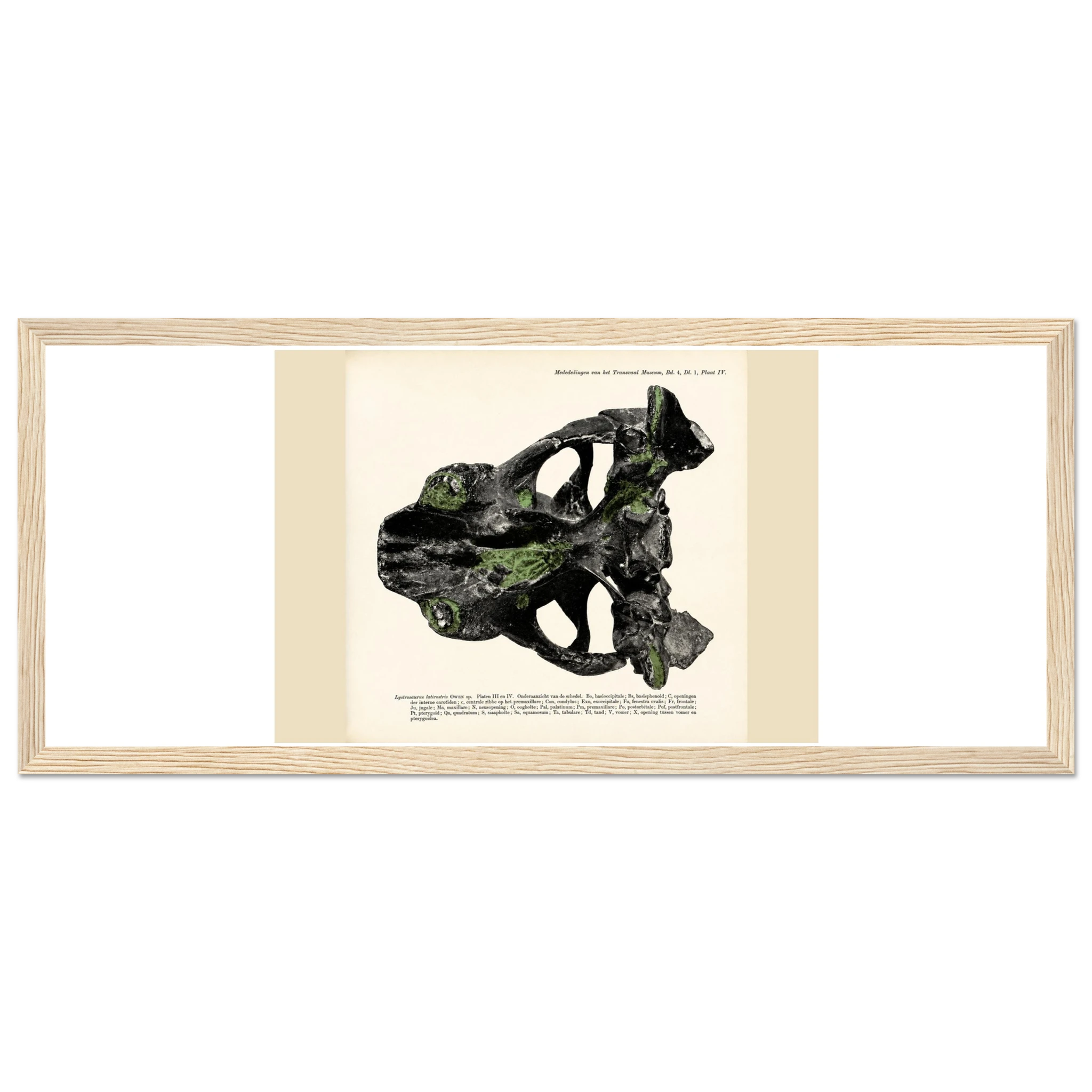6d6ae206-a7f6-478c-bb6d-a66a321ac875