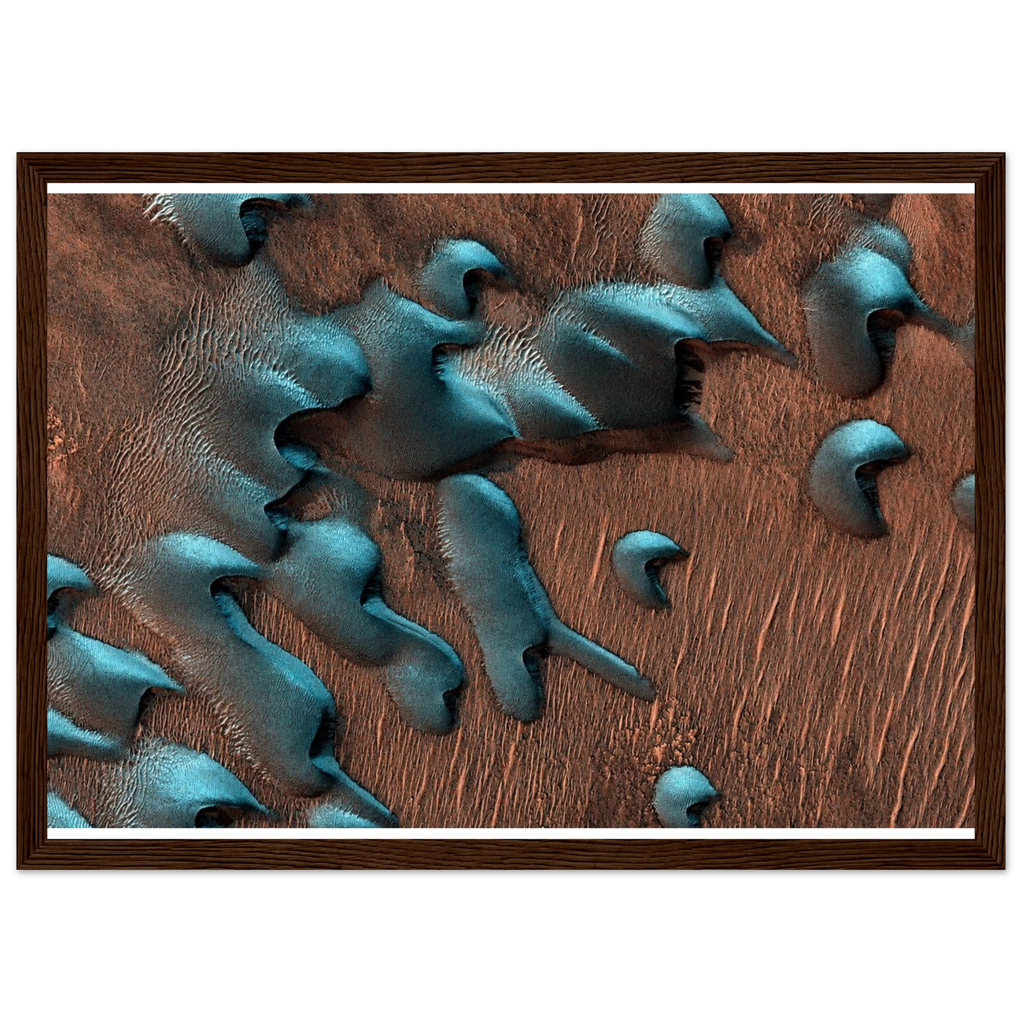 6d9d24e6-3d93-4a1c-aeb3-69e8c6439dfc