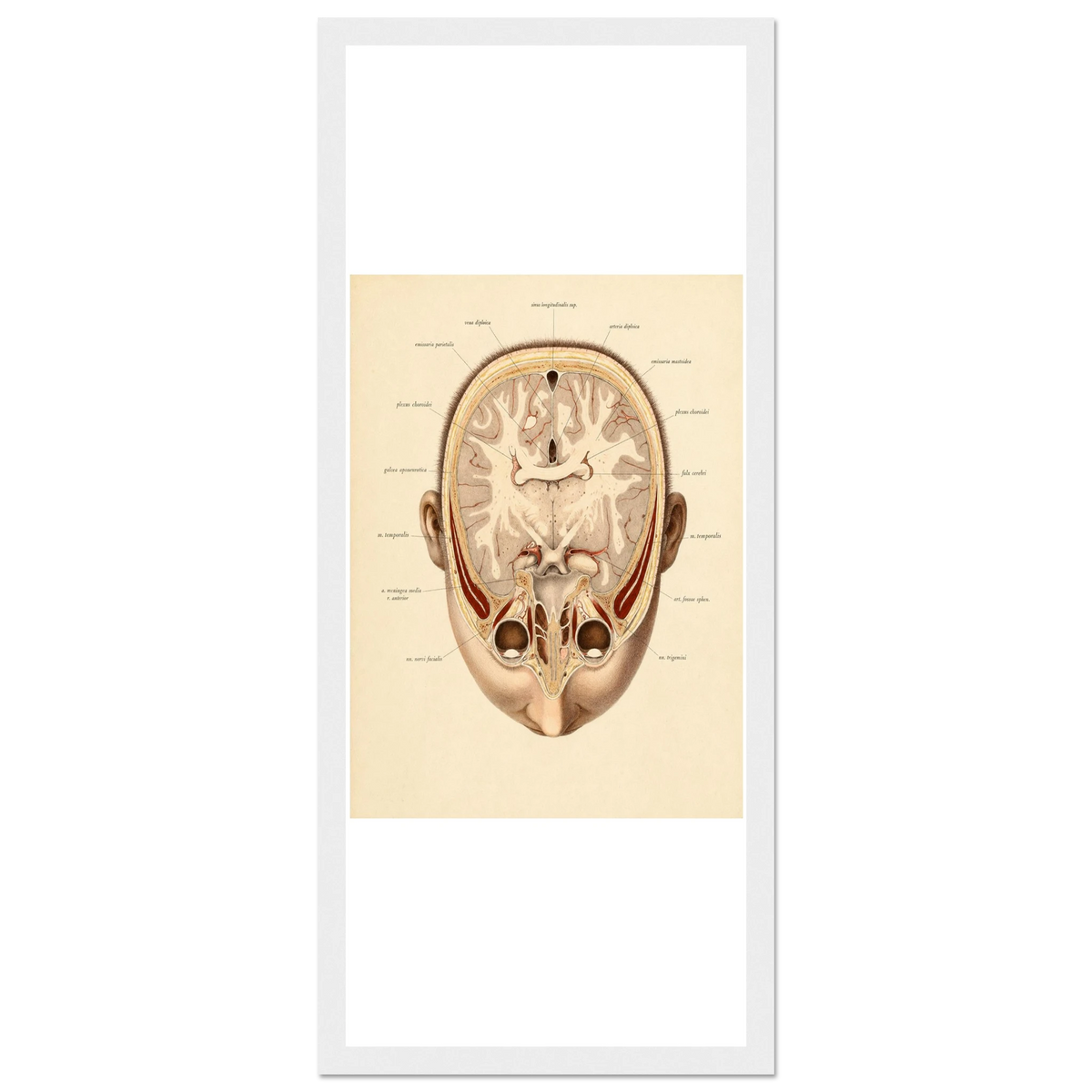 6de8b108-900f-490d-9ca0-270e230c43aa