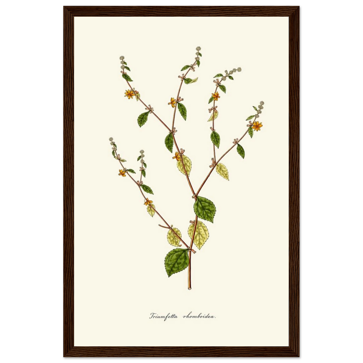 6de9ba2b-67e0-4084-a2ec-b2717316caab
