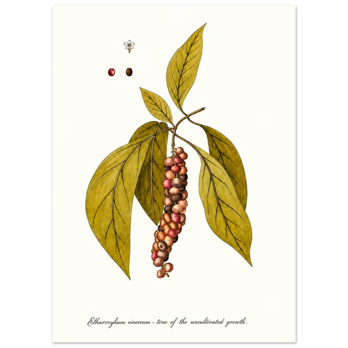 6dfc1816-efdb-4bd3-bf14-289c0fb9acd2