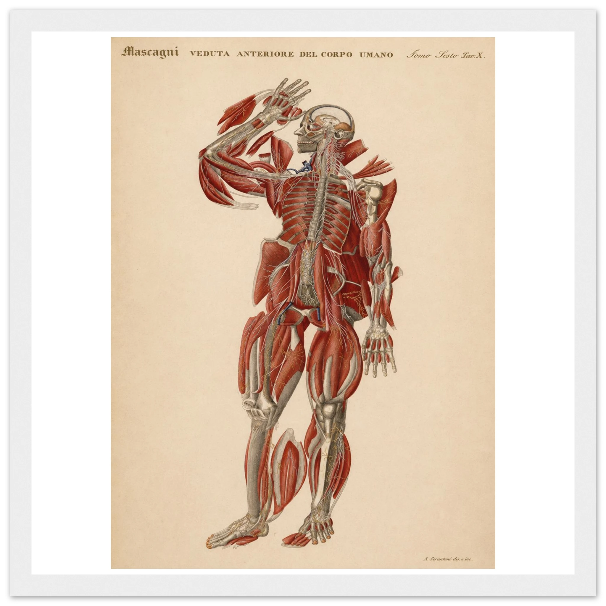 6e1431ec-2817-447a-8cc5-92aab0cde117