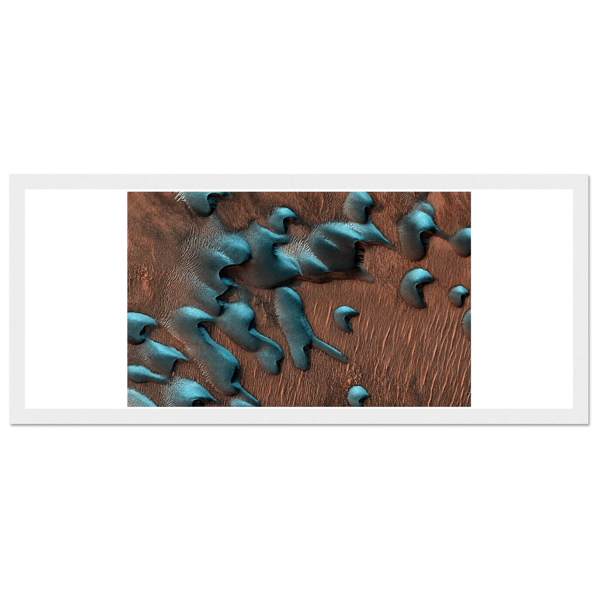 6e6cfd10-7777-4d09-a7e5-8dae746f3a2b
