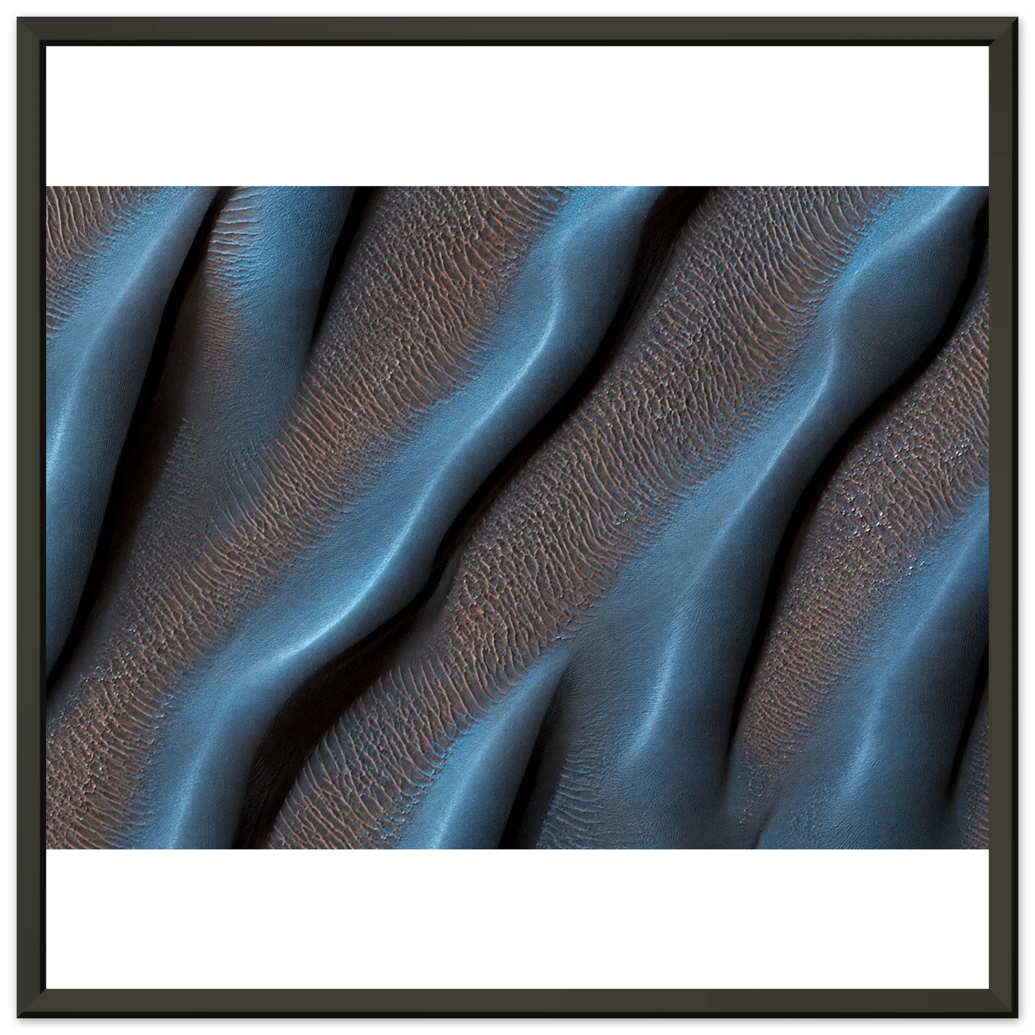 6ed90a12-012c-4e91-8d90-7c8a94dae675