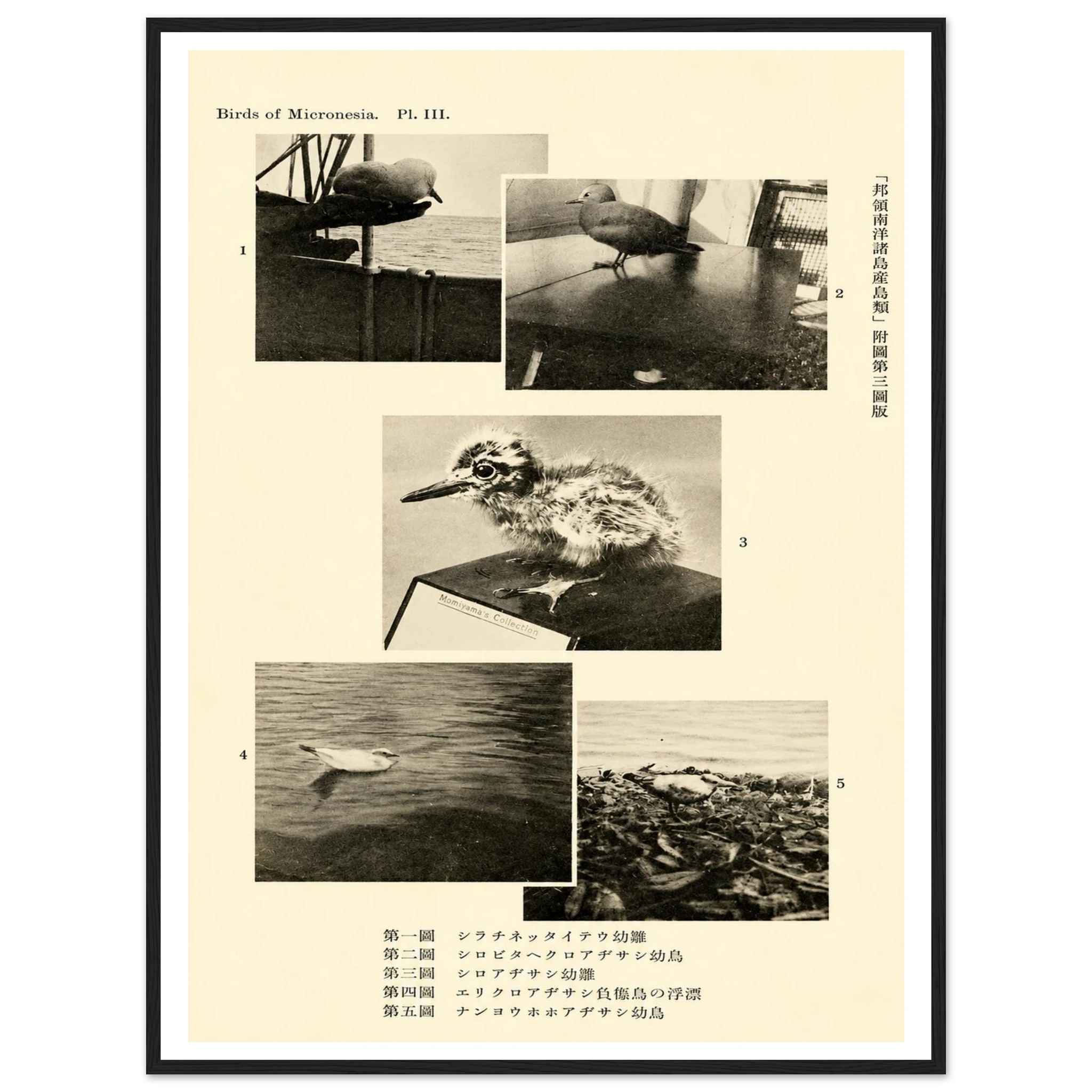 6f404f87-a023-4faa-a0a2-2633f725db6e
