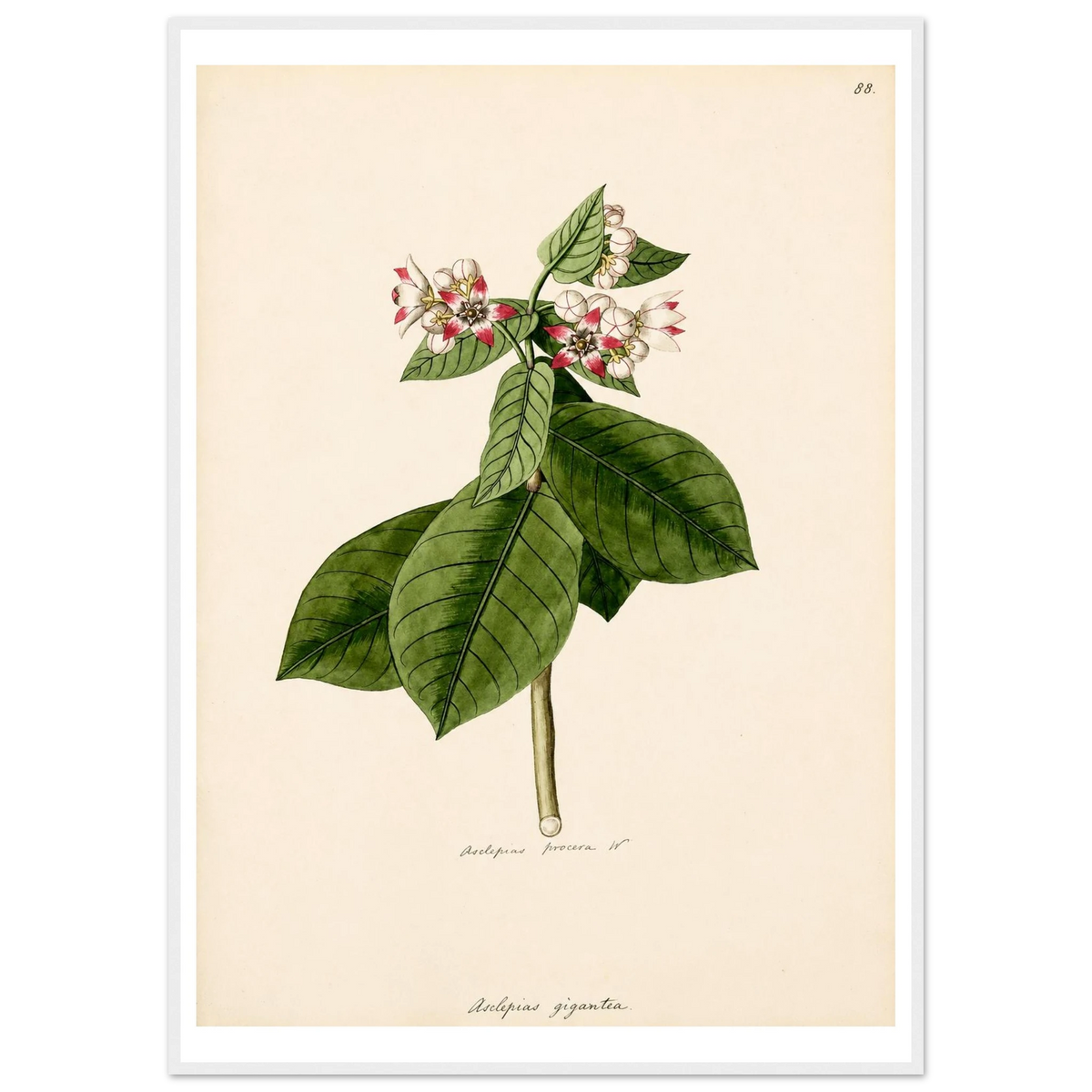 6f61945c-c836-4daa-8cd0-66fa138c3bb0