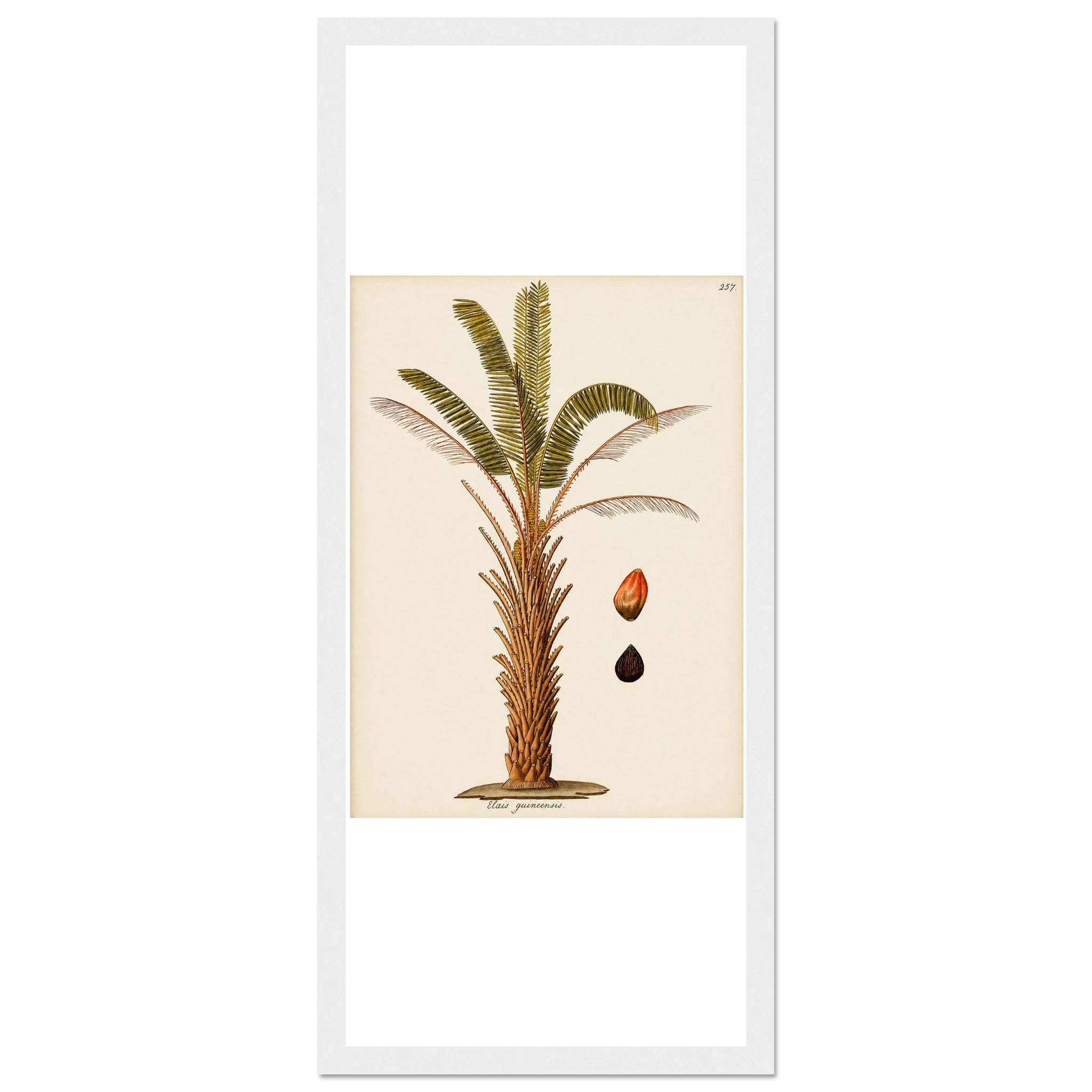 6faabba2-7743-496c-b678-2935e93cc141