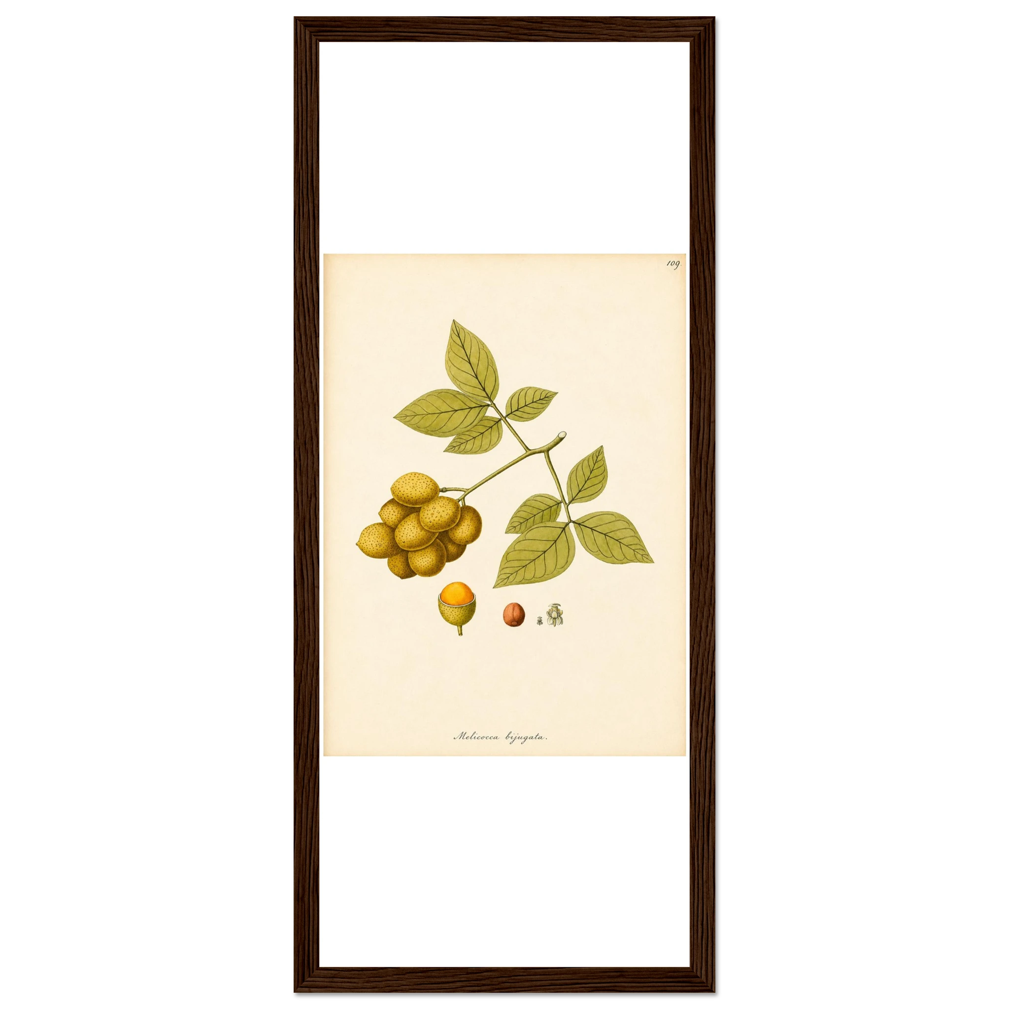 6fff6cad-b402-4515-abee-7da7a6ff5826