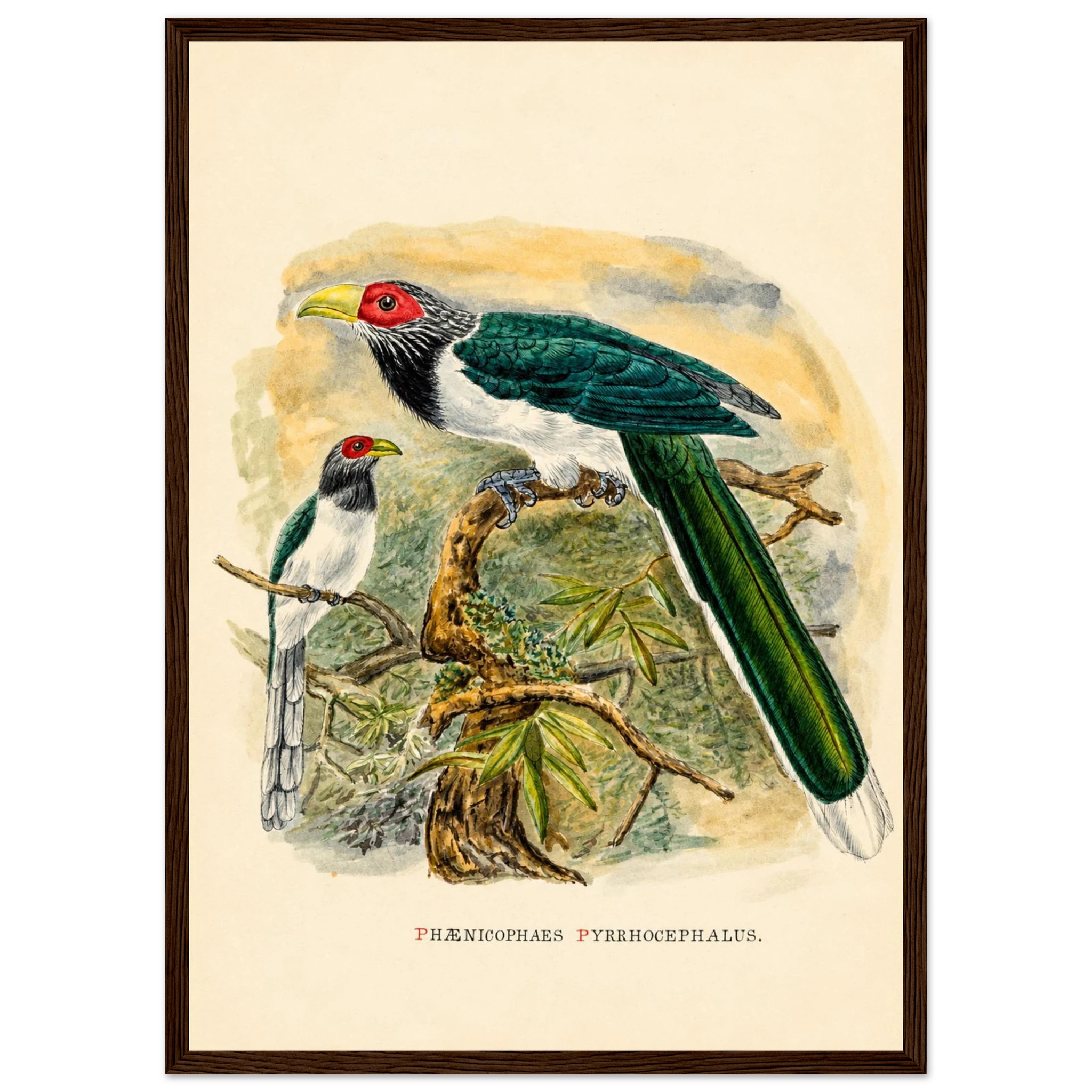 7092bbbe-ec12-4681-b345-b948d57652a2
