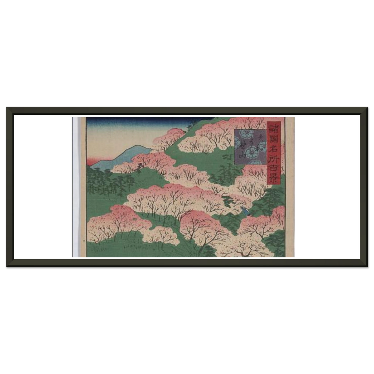 71cd31c1-b1d5-4154-819c-747e206198f0