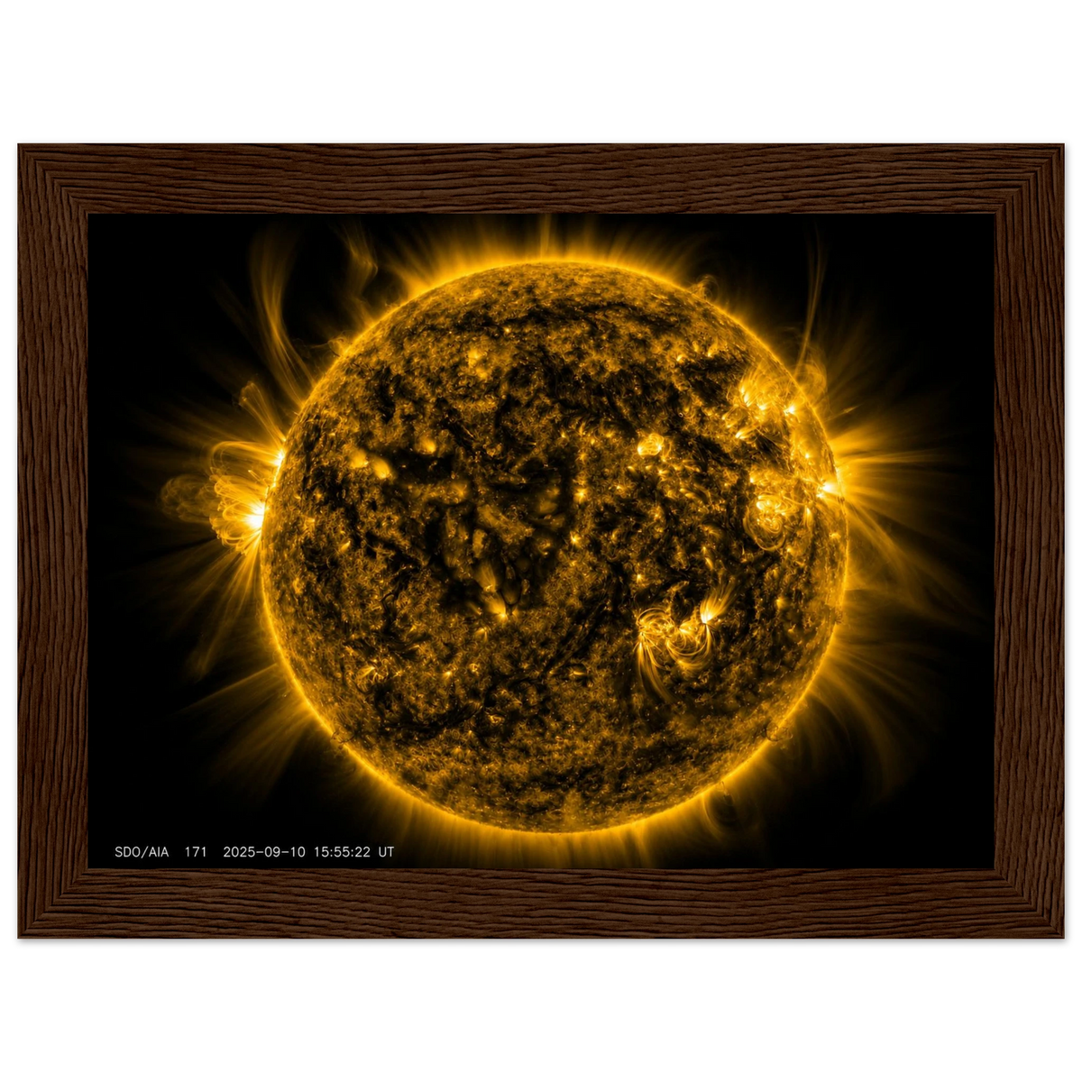 729d1479-5817-45d3-987c-cbd38dc8e394
