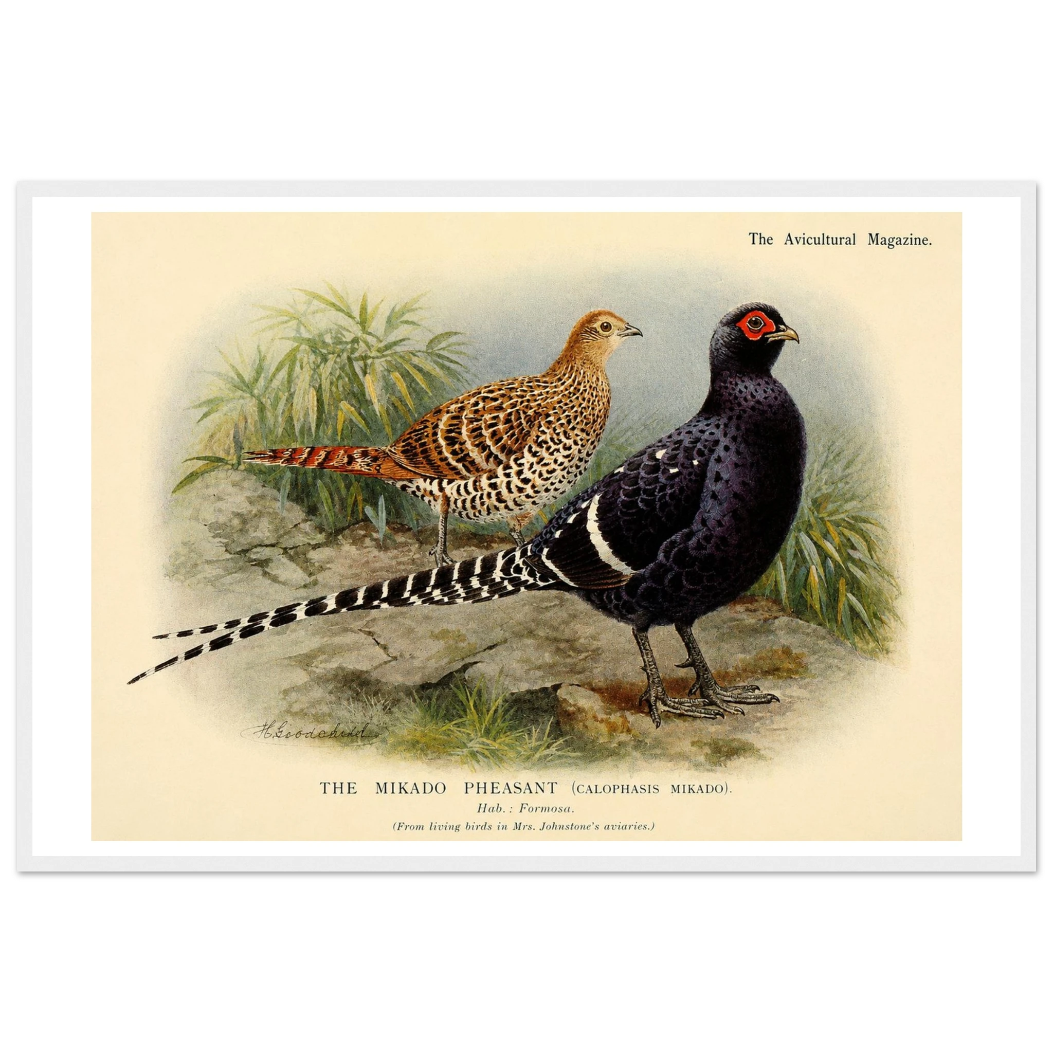 72a9976e-2615-4fa3-ad25-3f2f1dd43f9a