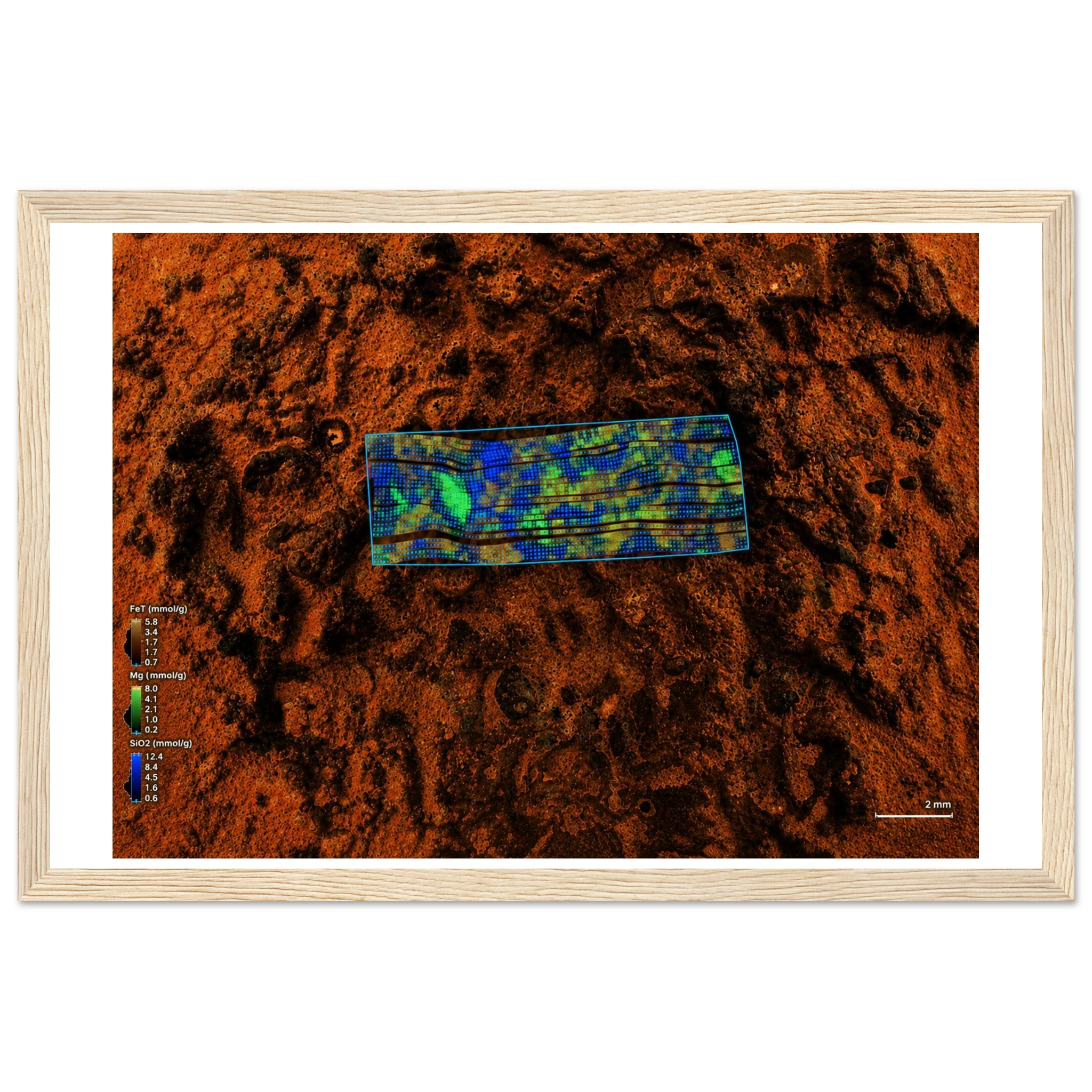 72c0d8e4-51ad-447a-a34b-371b7564e12f