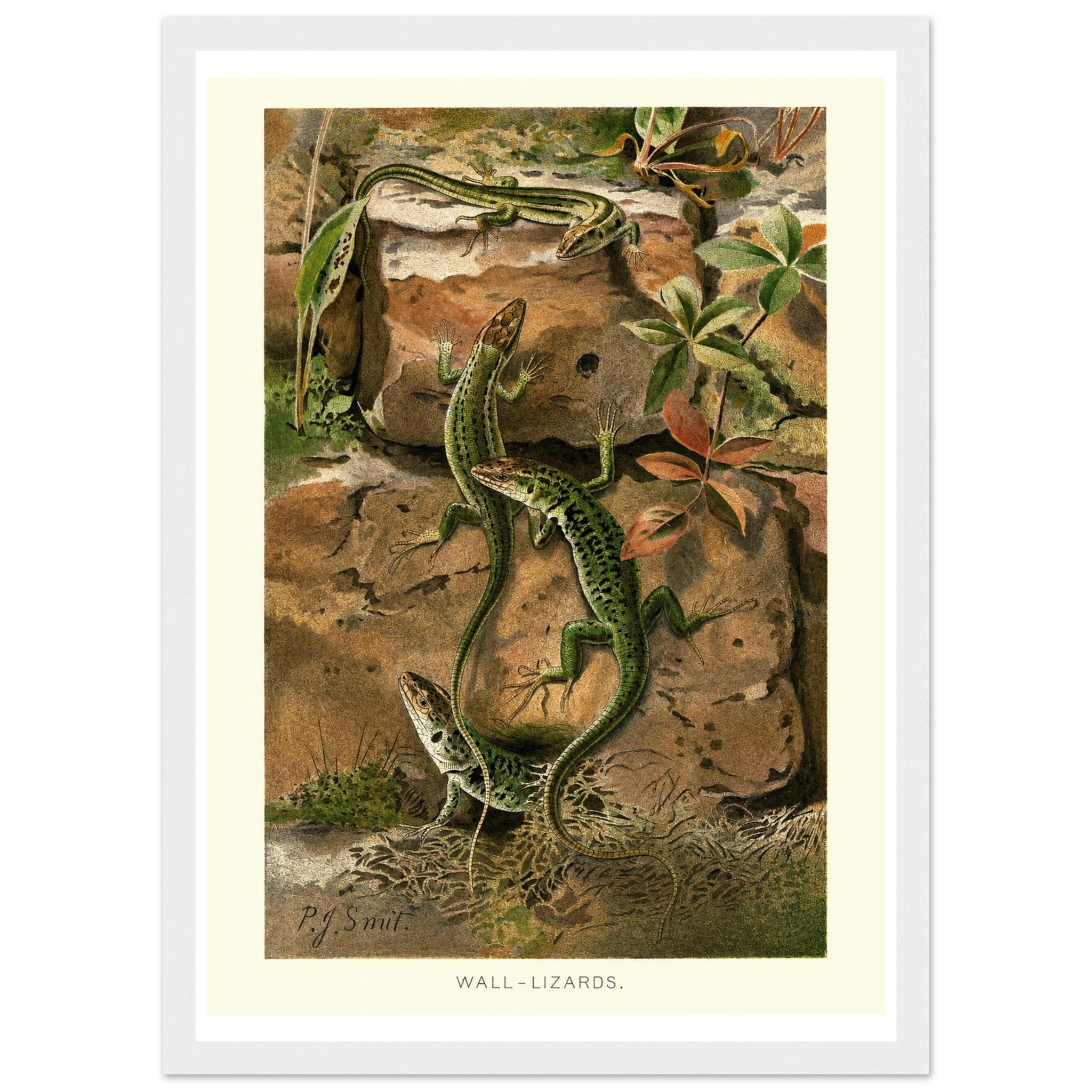 72f62819-f262-4c6e-98f3-e7f65a14379b