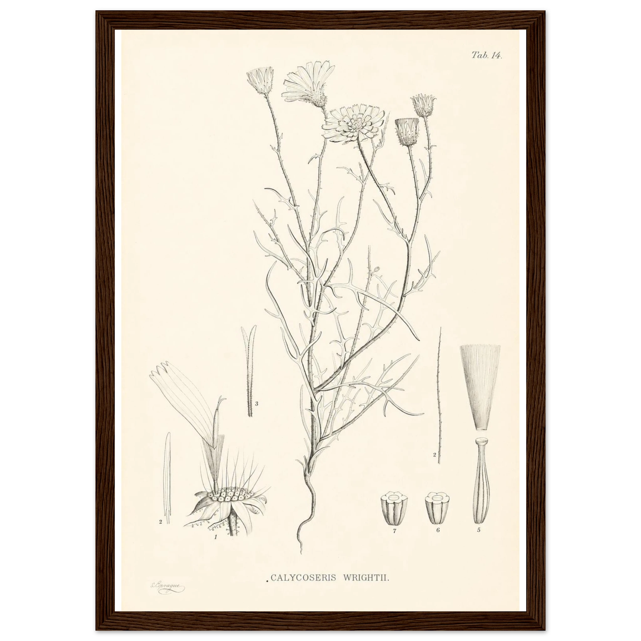 73131206-7e4c-47a6-b038-7ead32f12b5a