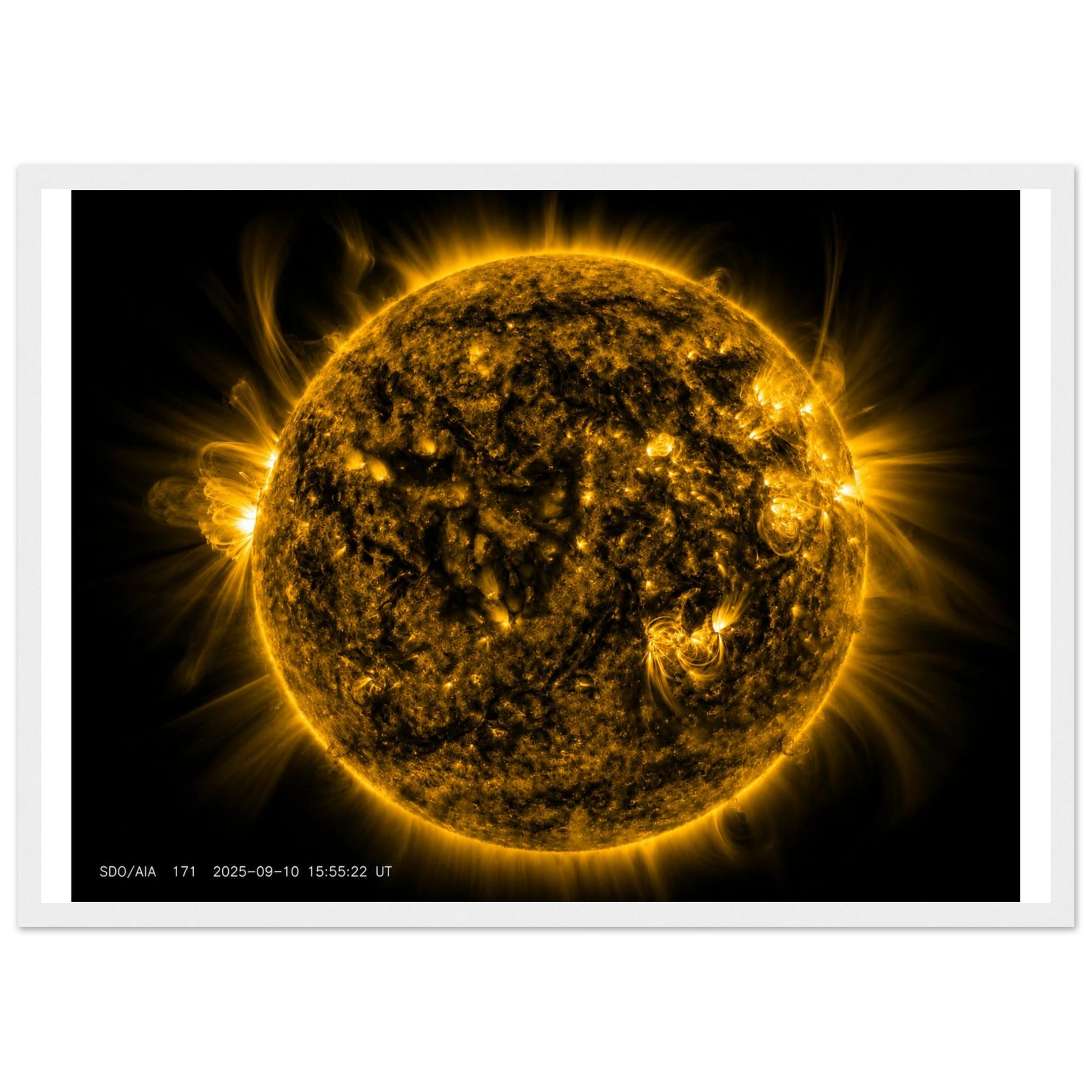 735ab9b3-d2ee-4116-815e-50cc80126289