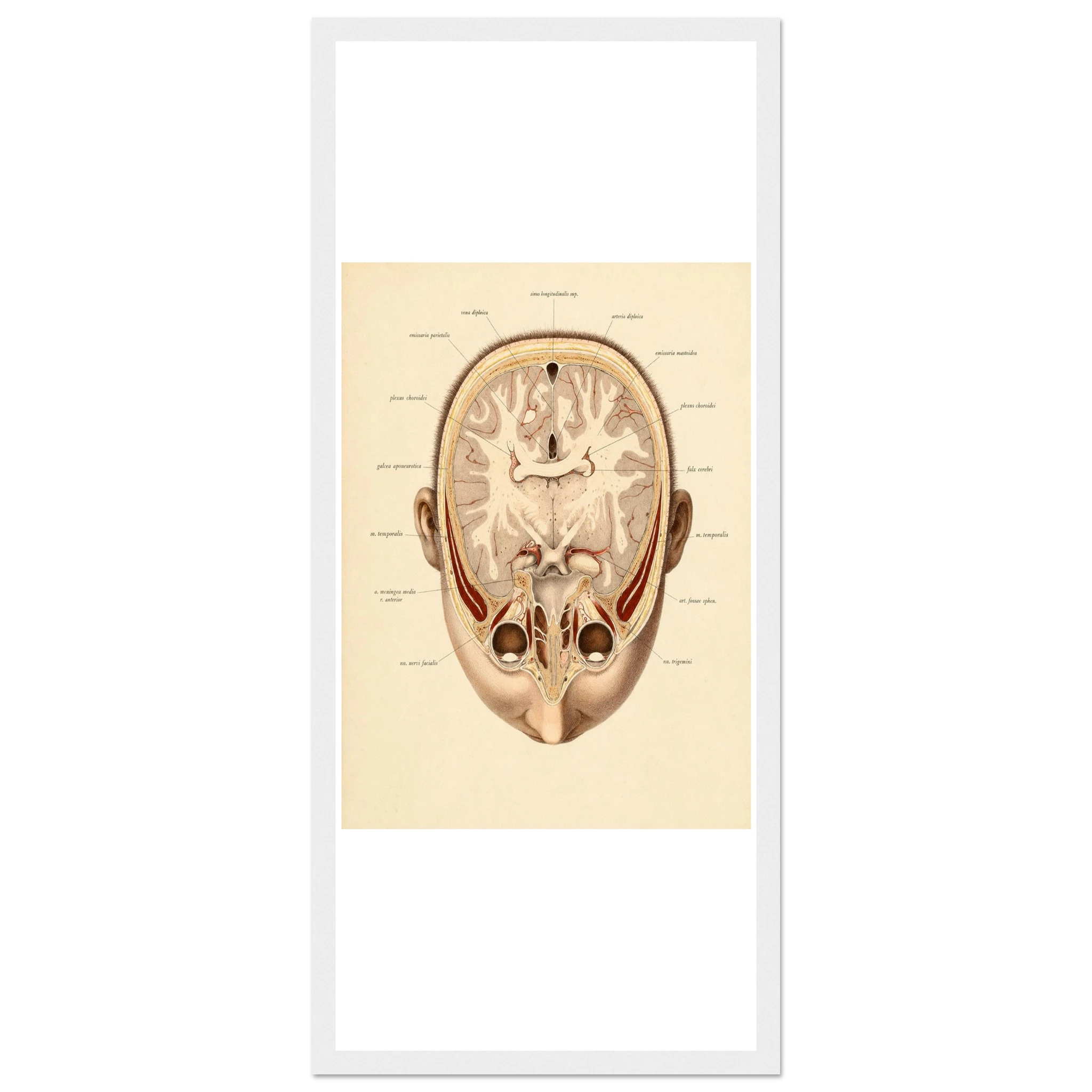 73b53c2c-063f-44da-80d9-e8e7209e1f53