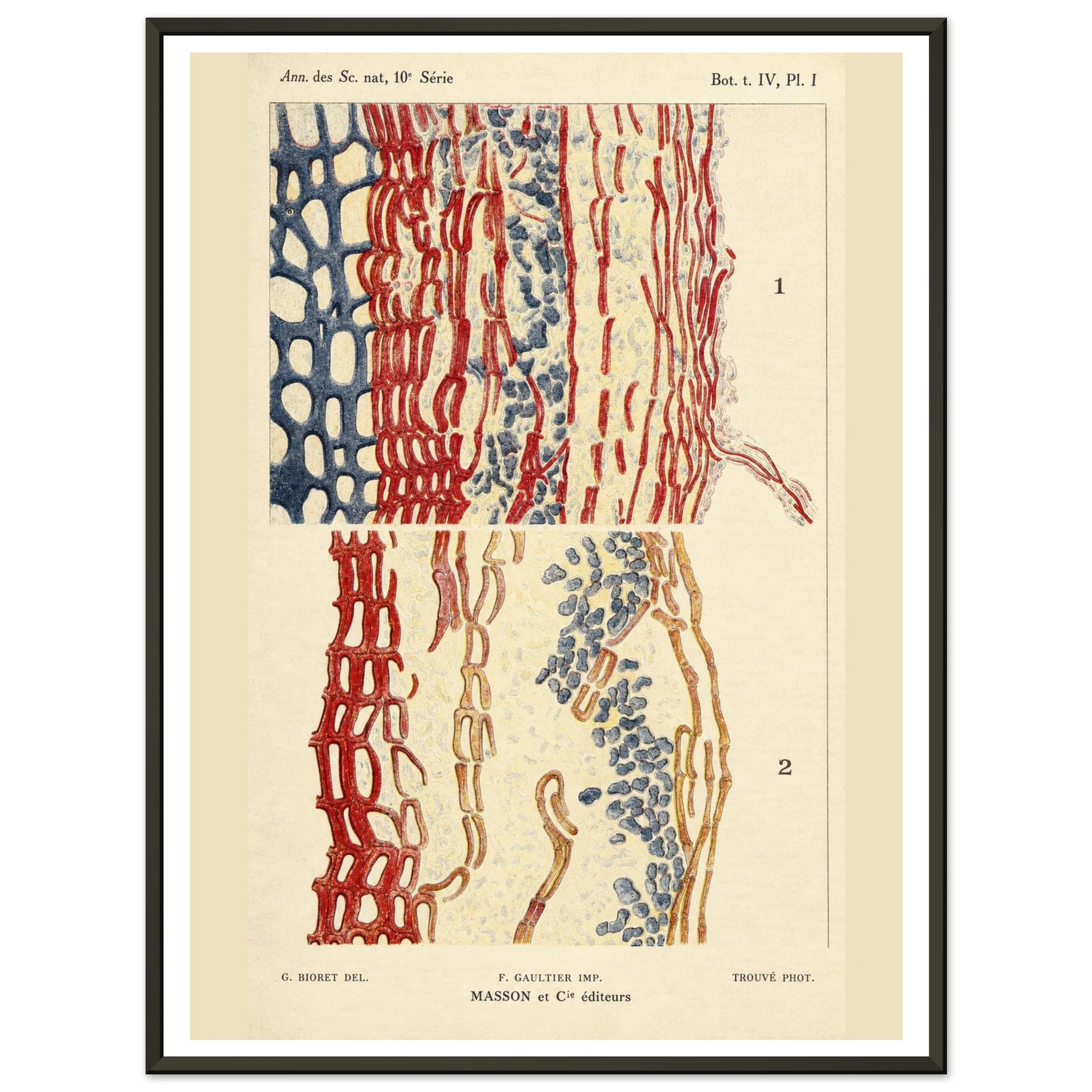 7402507d-6840-40bf-b7bc-4c4758f3fab3
