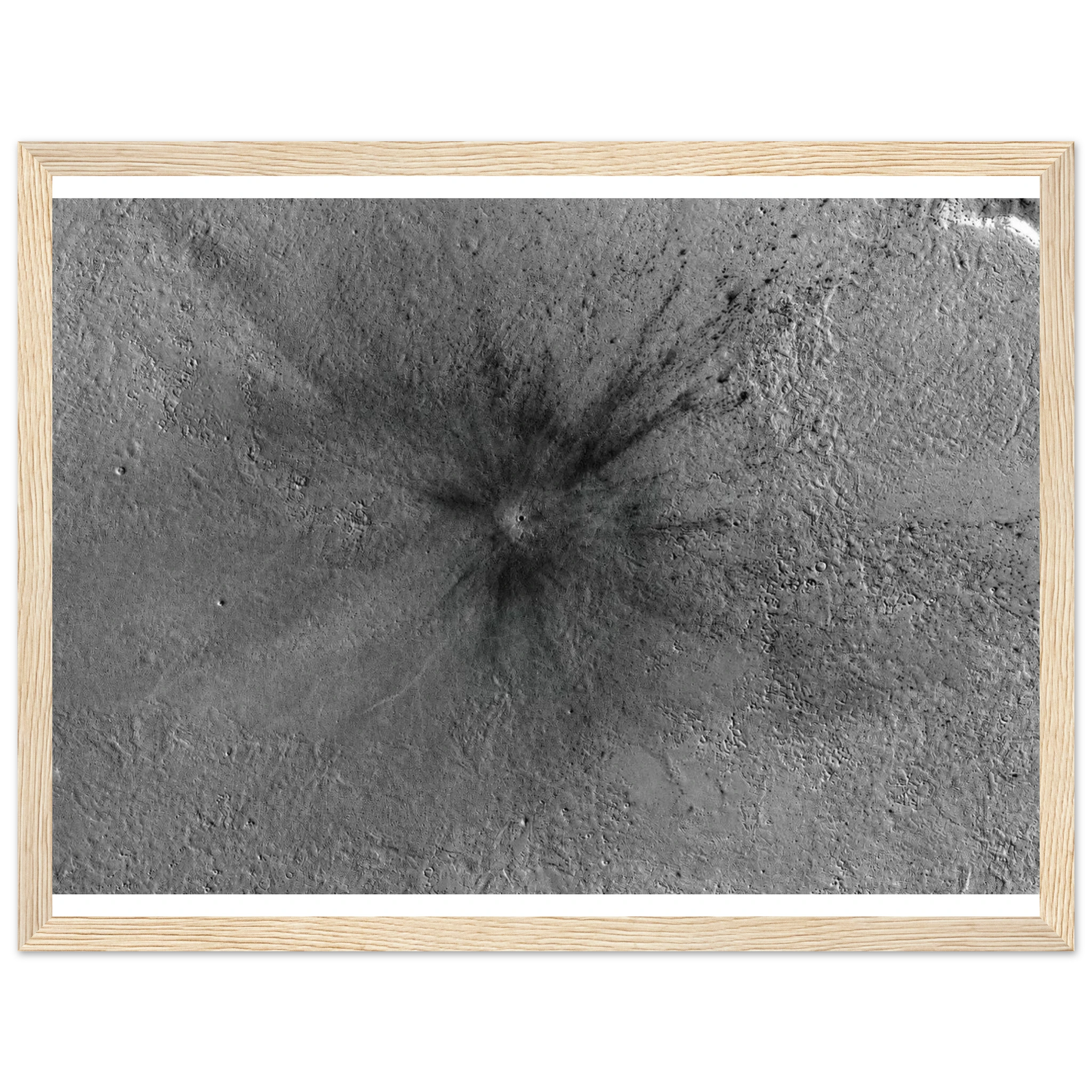 7443c2c9-eb9e-4c81-8e5d-23199e384500