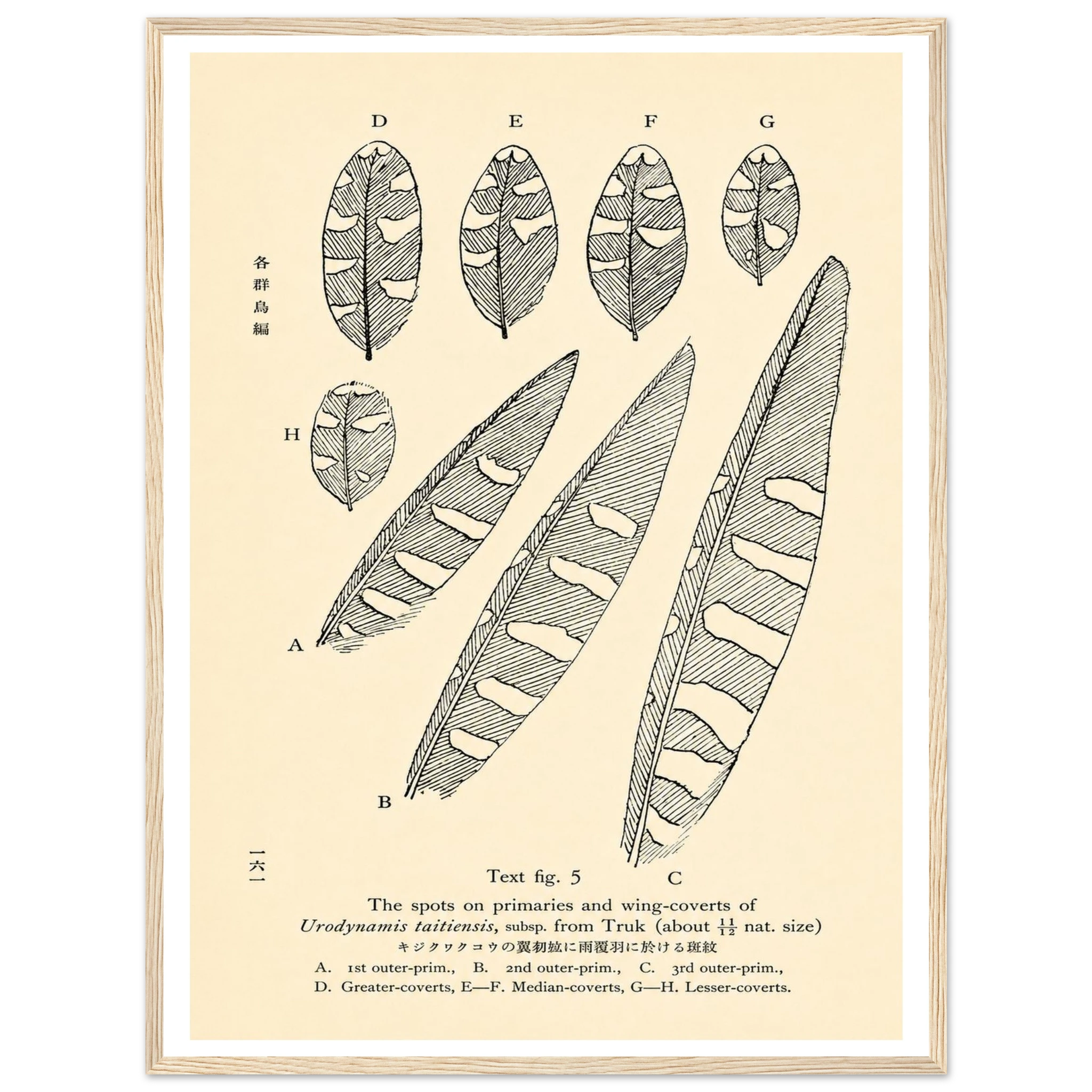 75e3be0a-4b66-40b8-a748-babb743f9185