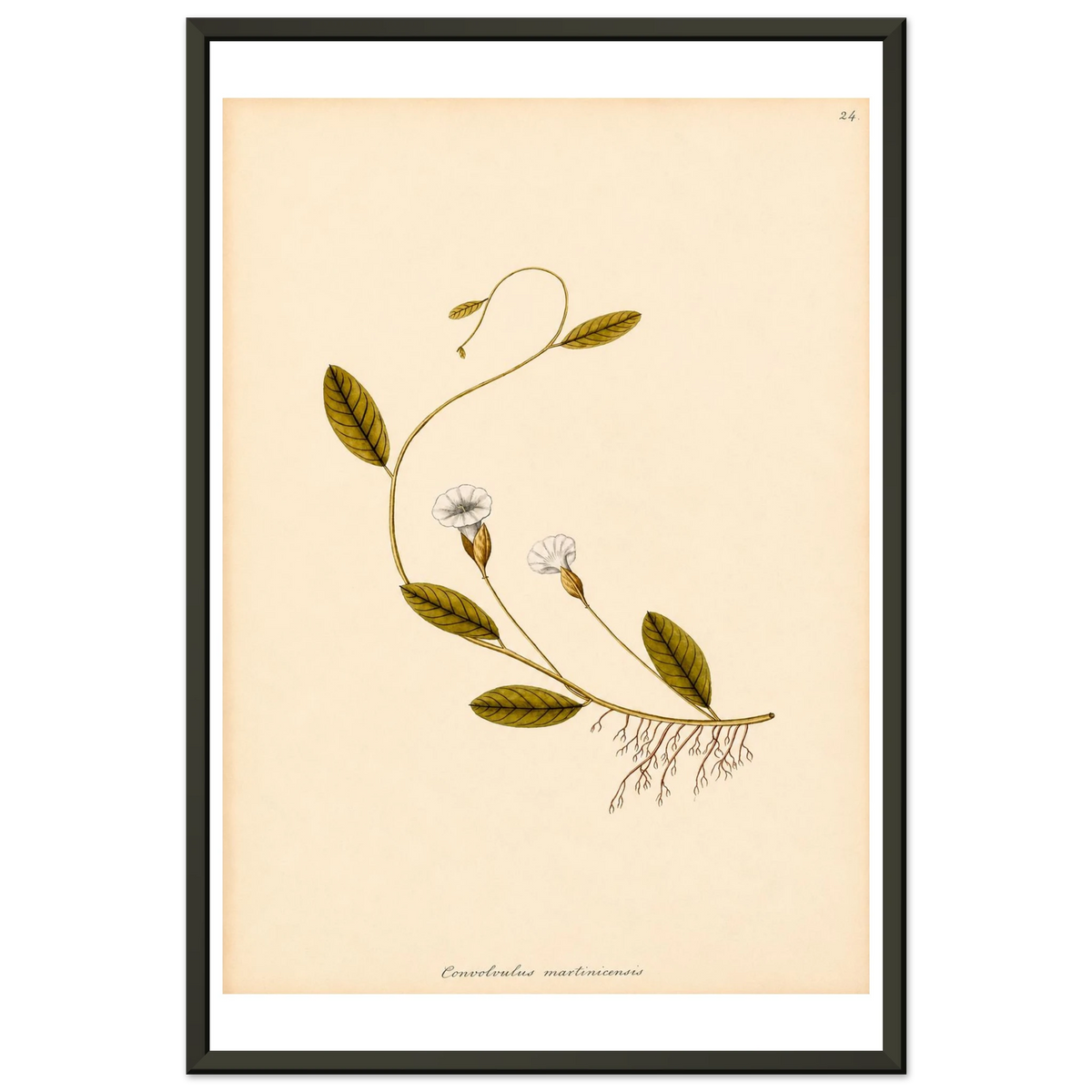 7641d5e1-c82e-4ea2-8657-86db855fe33c