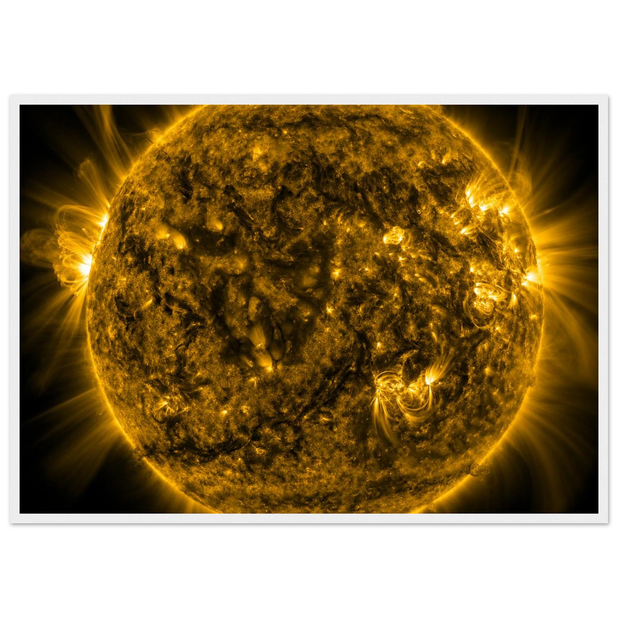 76b24e07-8068-47d0-bdac-d0976915a65e