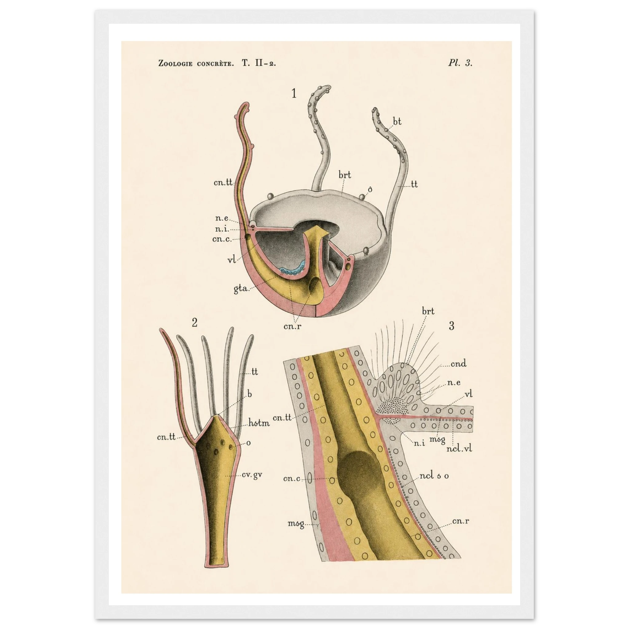 76c4aa34-fdbf-4989-9393-837c4ec7b1d3
