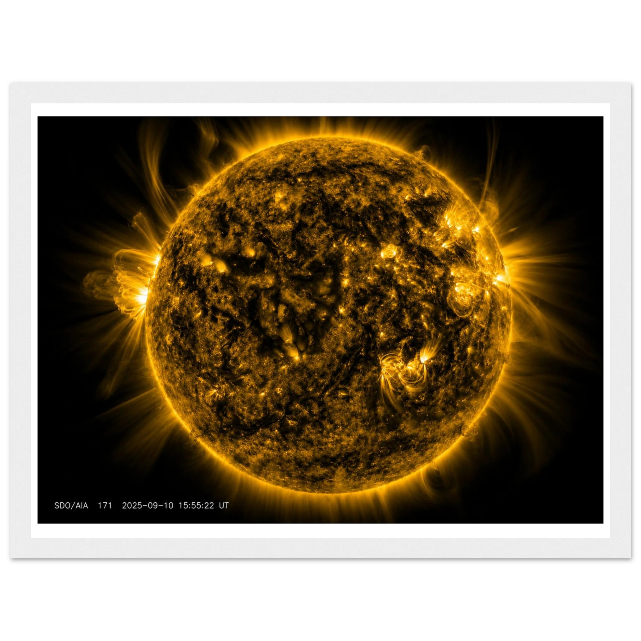 77badd5b-4714-40ac-bbd6-73e4dbd30e01