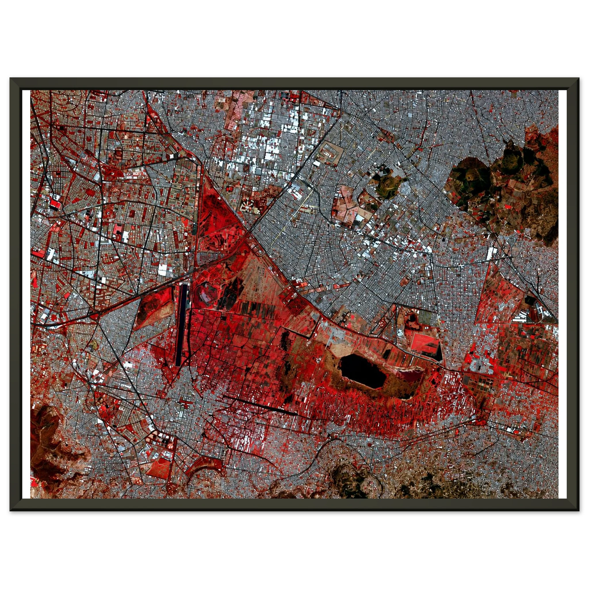 79207176-69f0-4a1a-ac2d-248d13863d0c