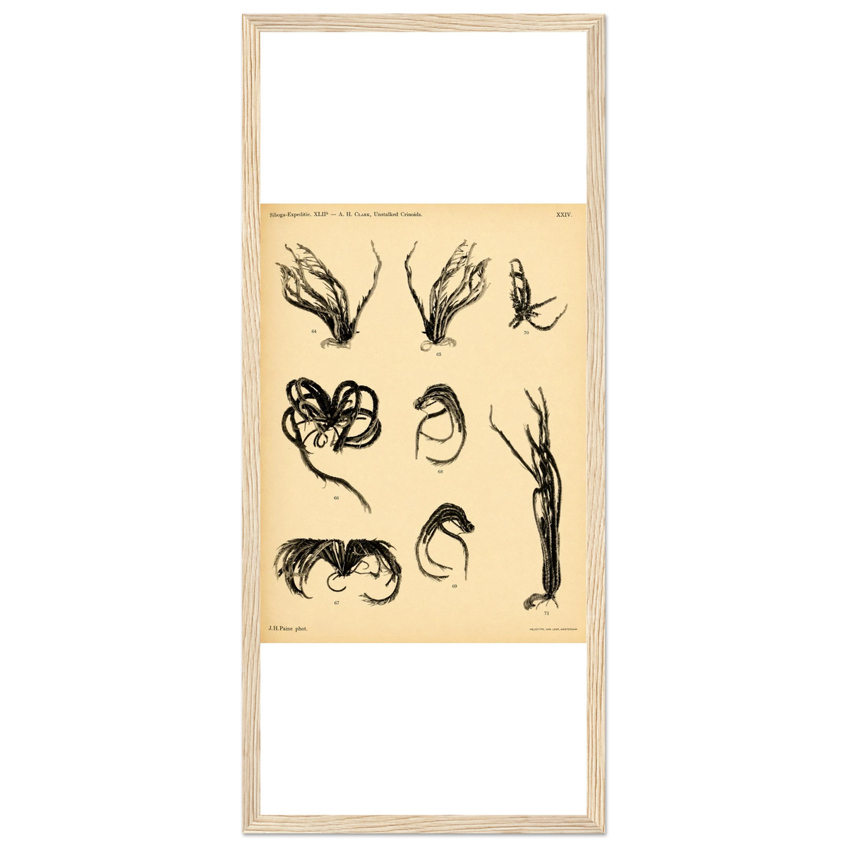 792f63ee-a082-4871-99bf-25b79e115cb6