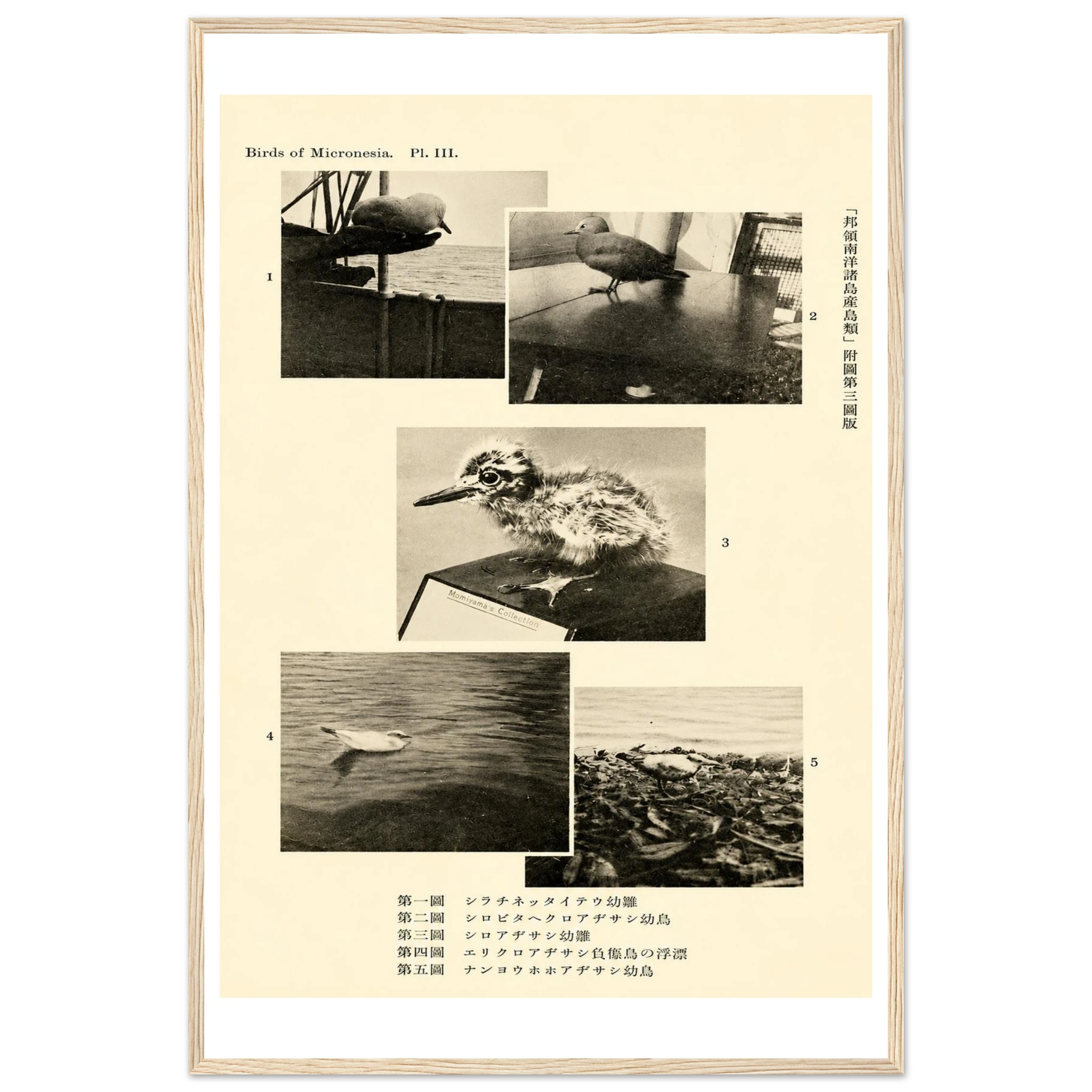 795fdc03-1a1b-4424-967b-cbefc100c3e6