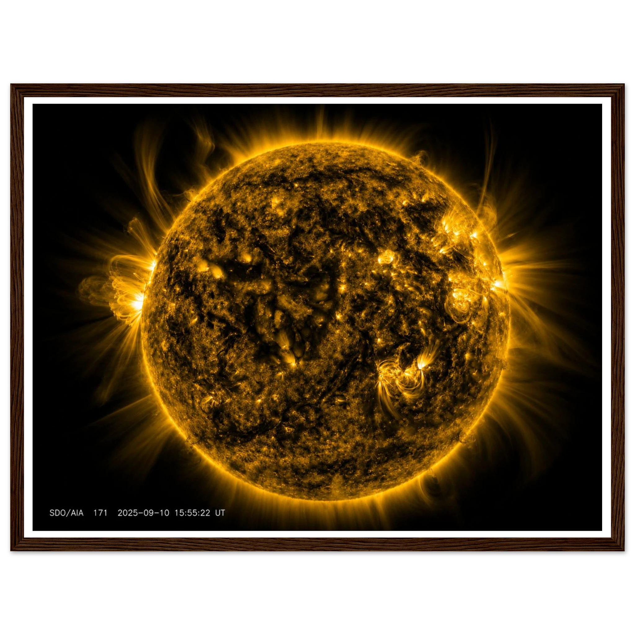 799711d9-7ec1-4c55-ac60-bfbbbcd86264