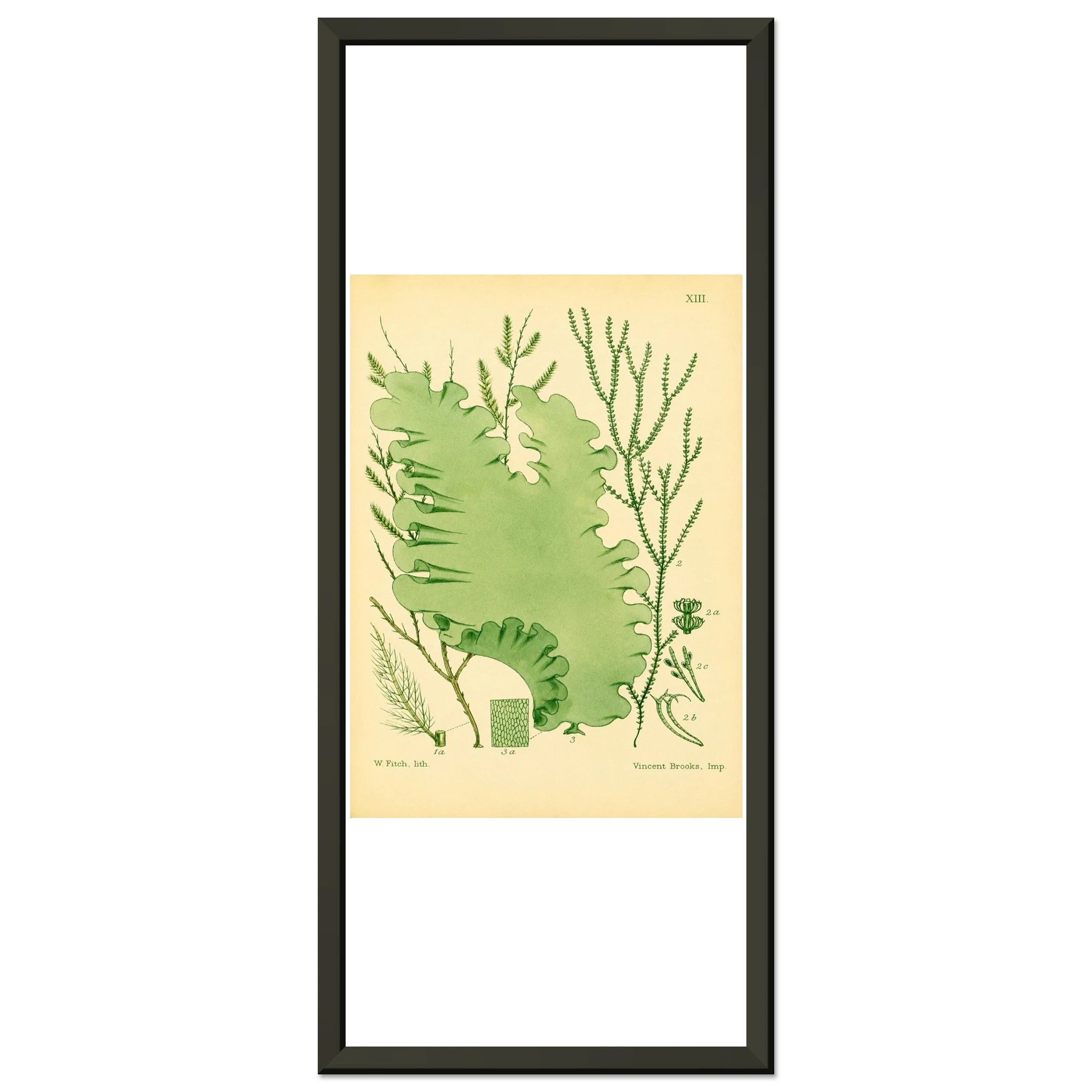 7ac78b4b-0c46-4105-bcaf-5313a088cfd0